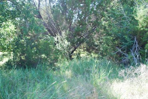 1306 Overlook Drive Whitney TX 76692