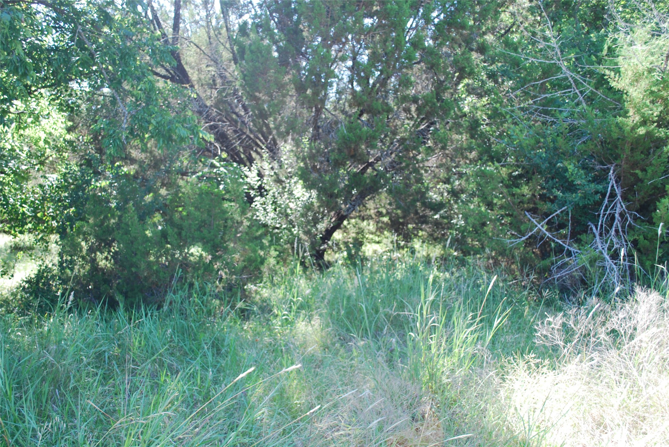 1306 Overlook Drive Whitney TX 76692