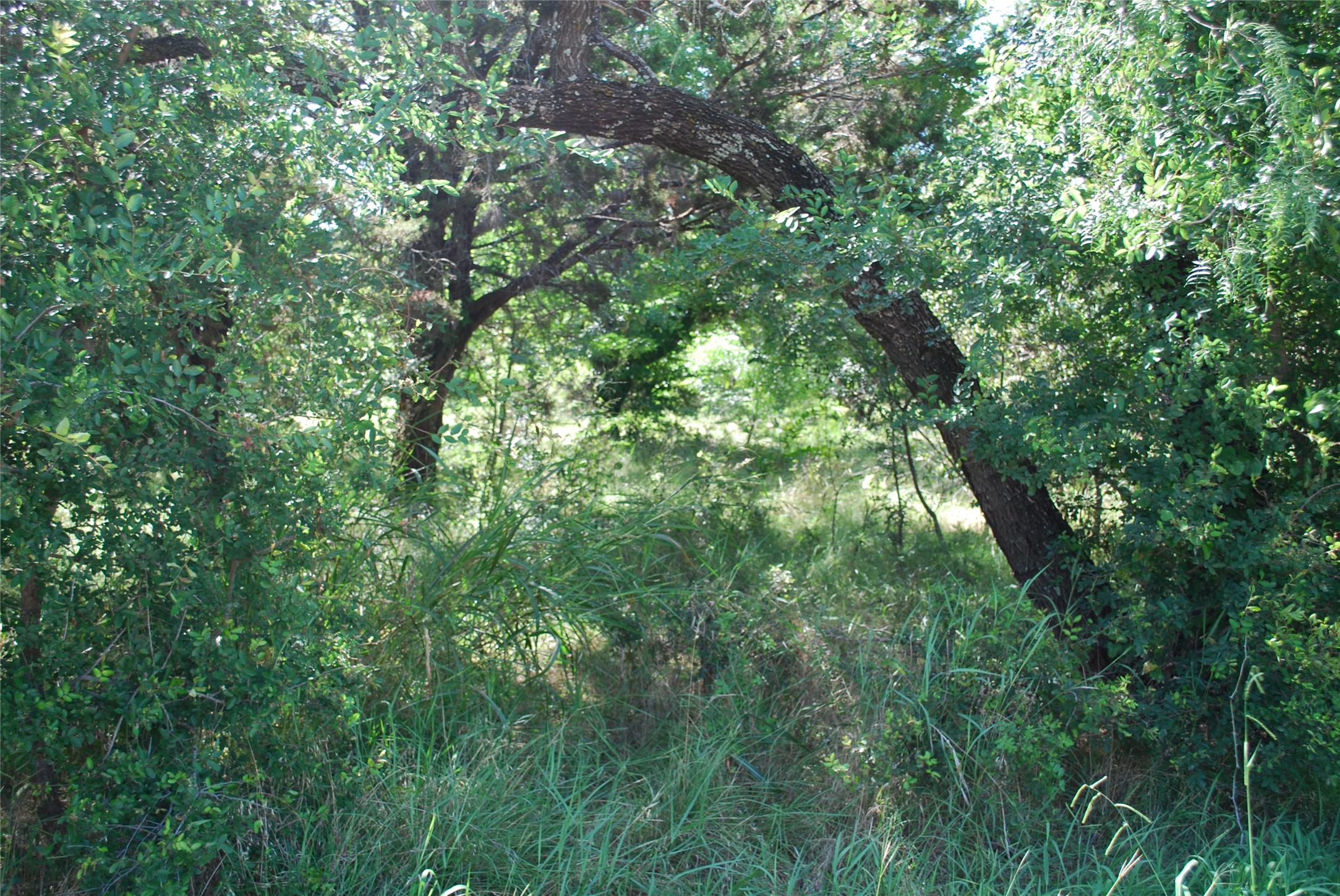 1306 Overlook Drive Whitney TX 76692
