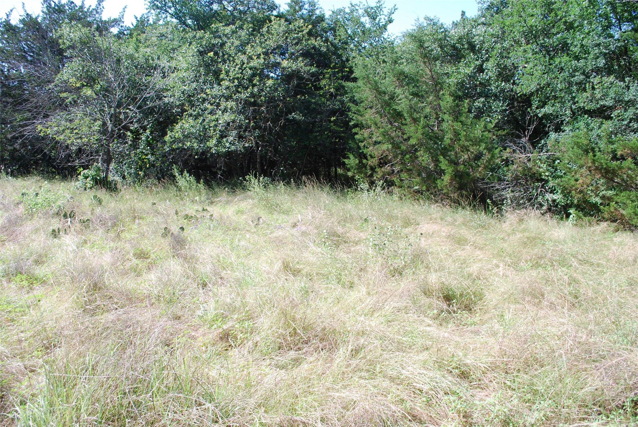 1306 Overlook Drive Whitney TX 76692