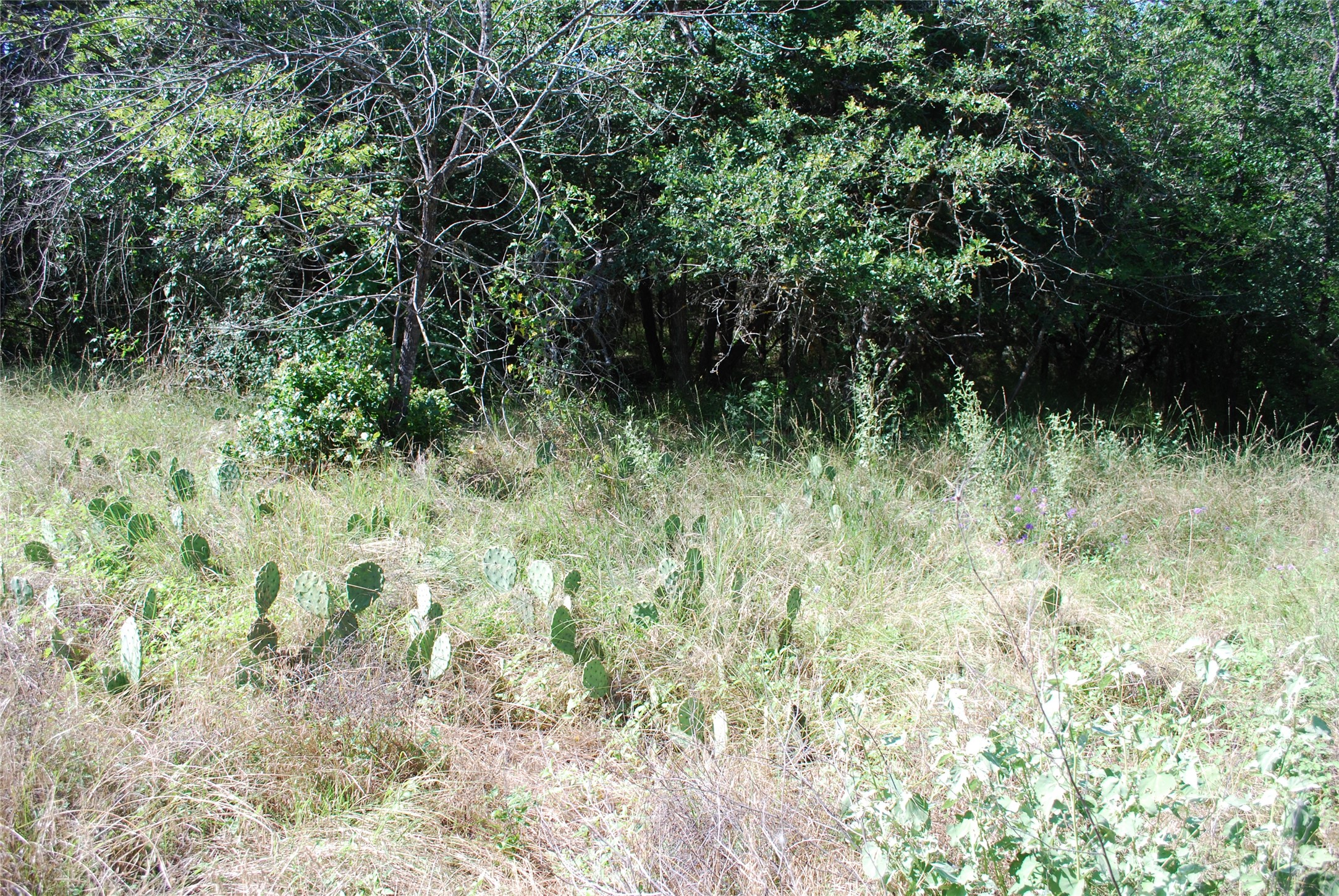 1306 Overlook Drive Whitney TX 76692