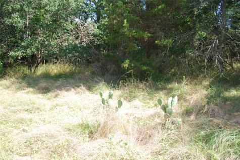 1306 Overlook Drive Whitney TX 76692