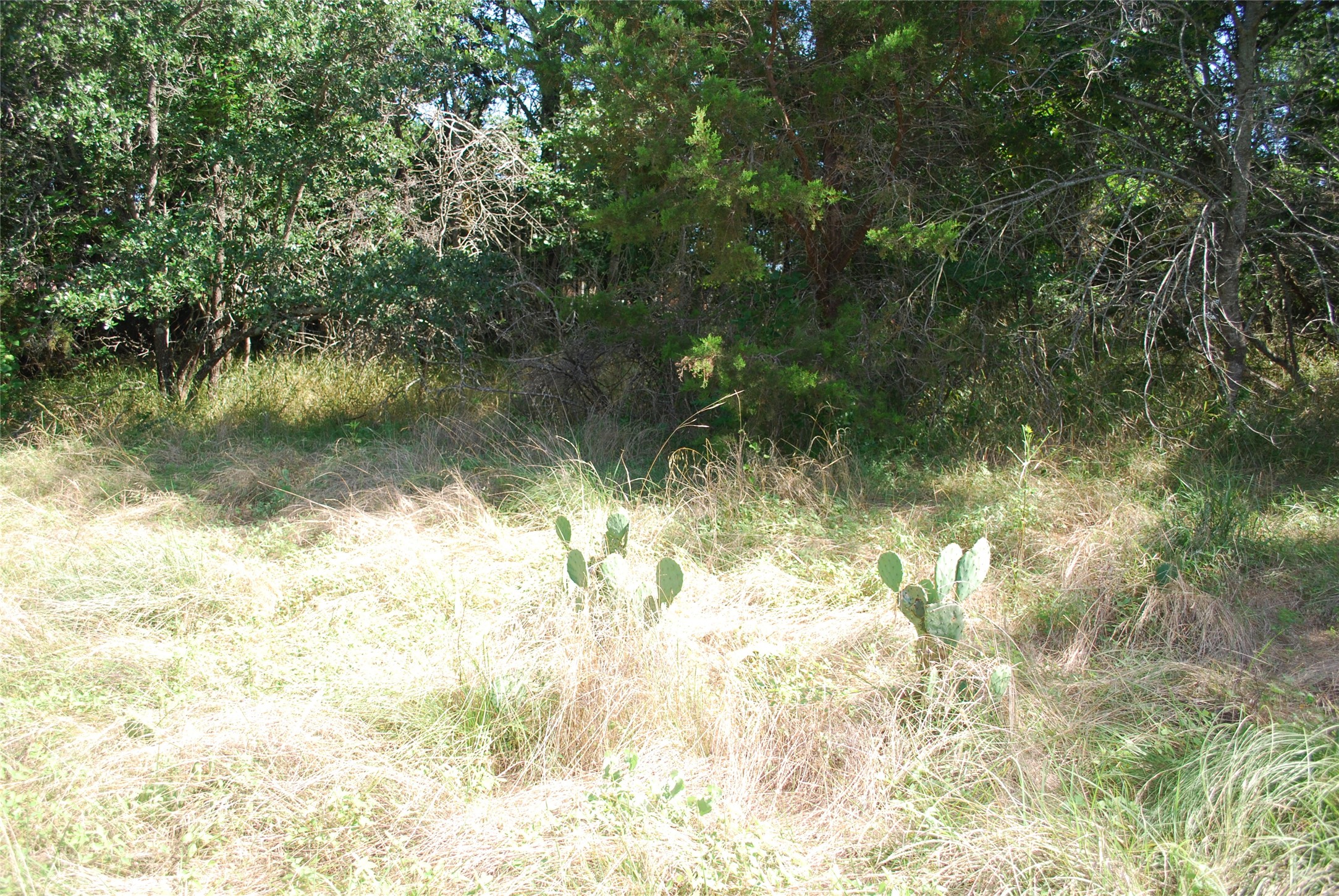 1306 Overlook Drive Whitney TX 76692