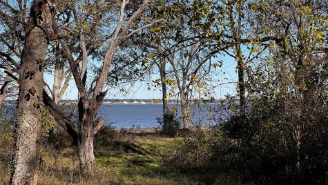 8455 Southern Shore Court Kemp TX 75143