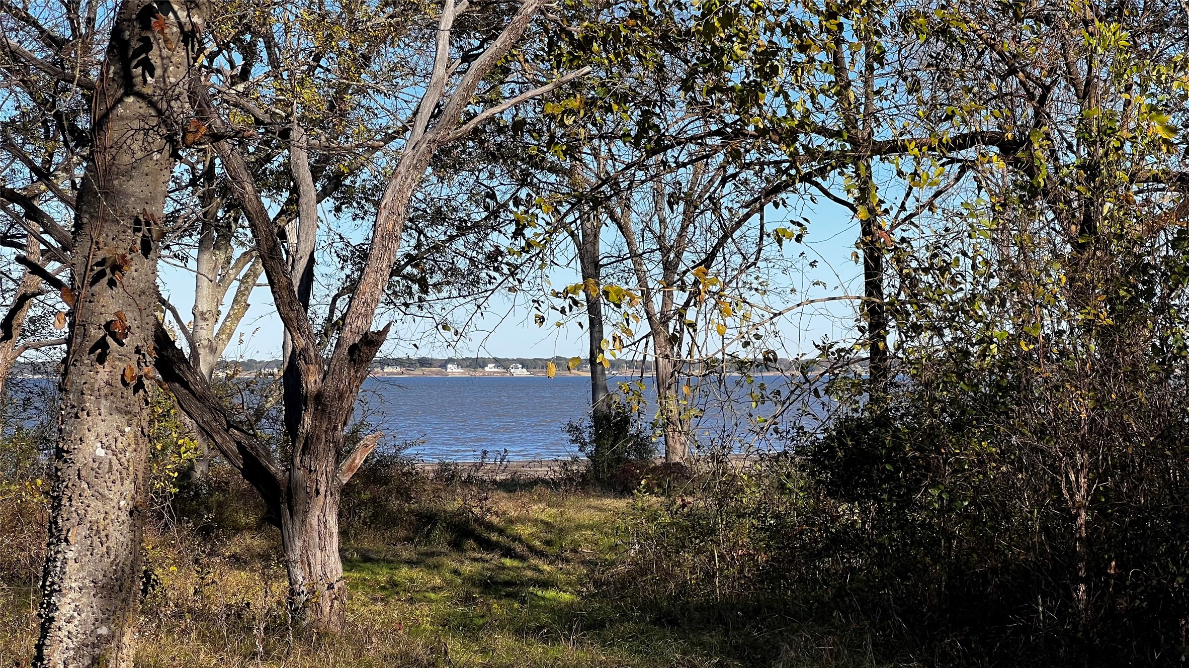 8455 Southern Shore Court Kemp TX 75143