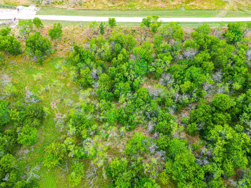 Lot 17 Grison Circle Corsicana TX 75109