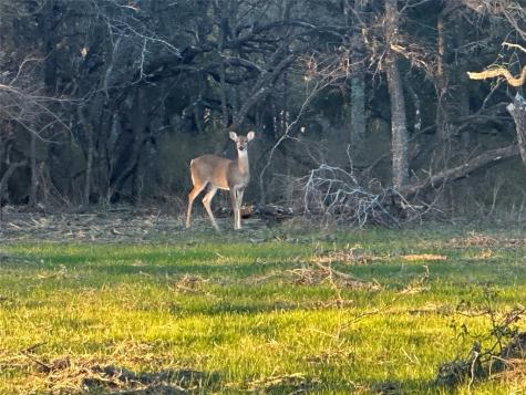 Lot 17 Grison Circle Corsicana TX 75109