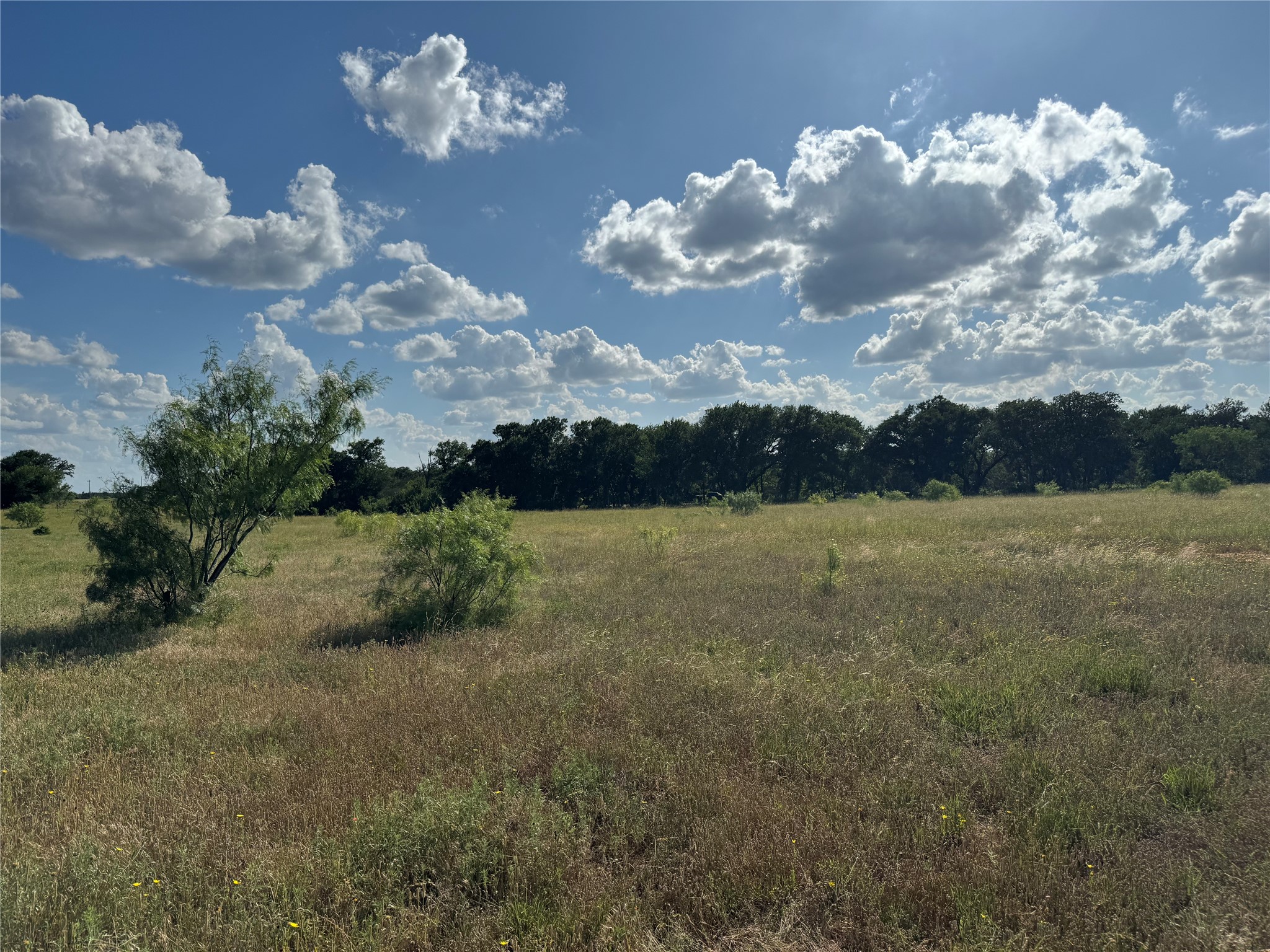 Lot 26 Canyon Ranch Road Palo Pinto TX 76484