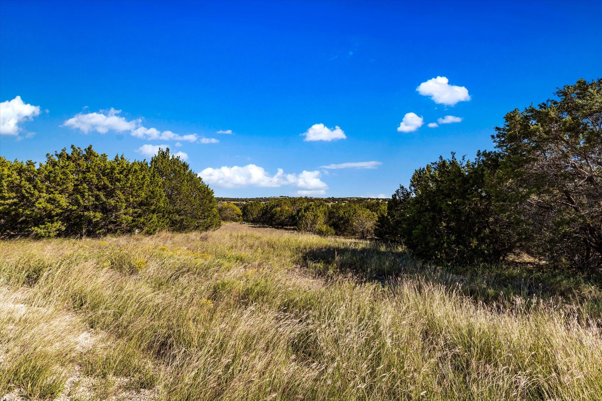Lot 19 Fossil Trails Addition Glen Rose TX 76043