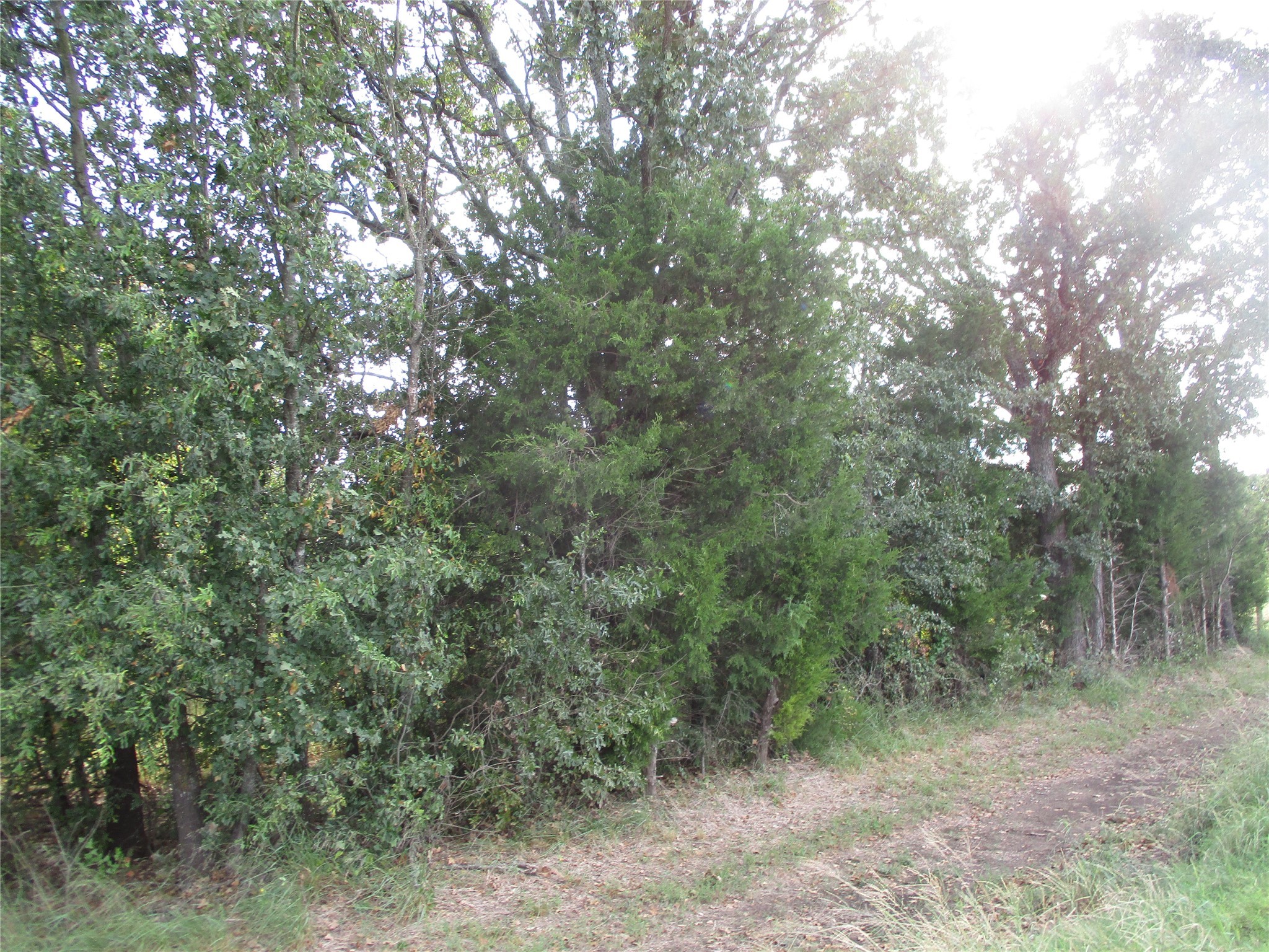 0 Fm-148 Scurry TX 75158