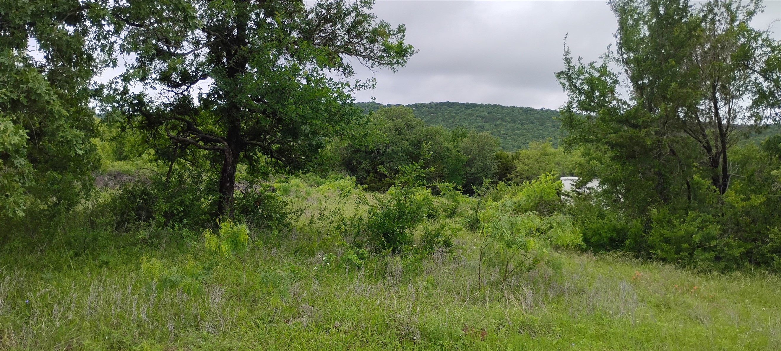 Lots 3 & 4 Dunn Drive Palo Pinto TX 76484