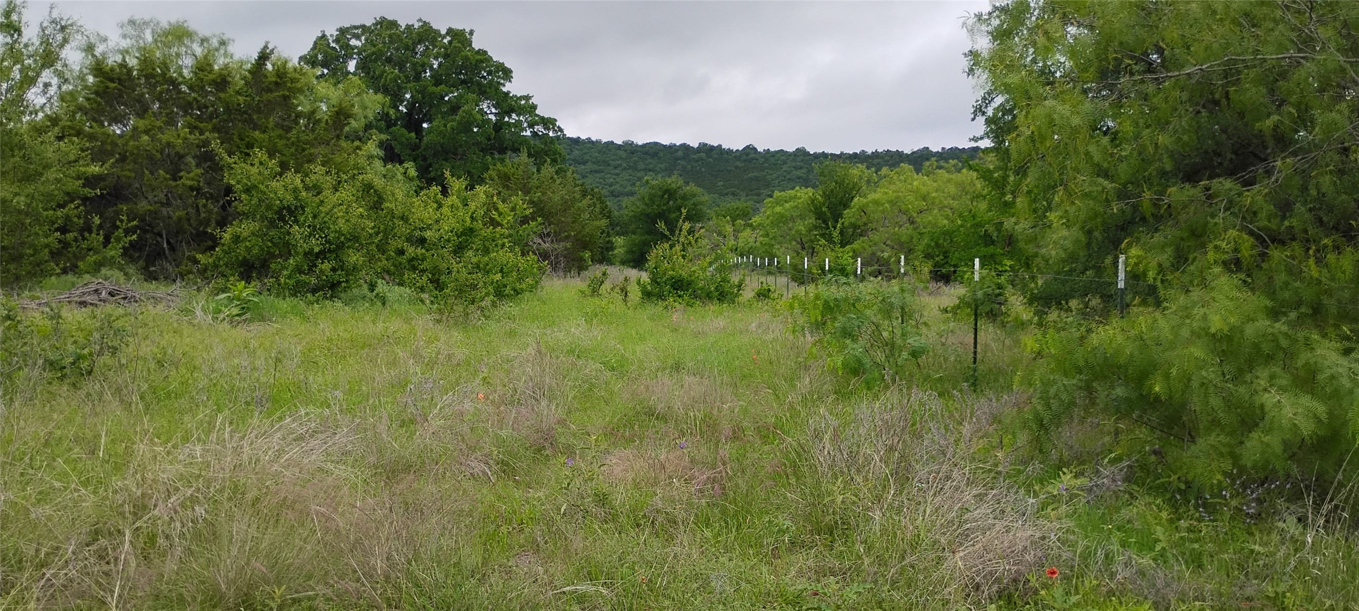 Lots 3 & 4 Dunn Drive Palo Pinto TX 76484