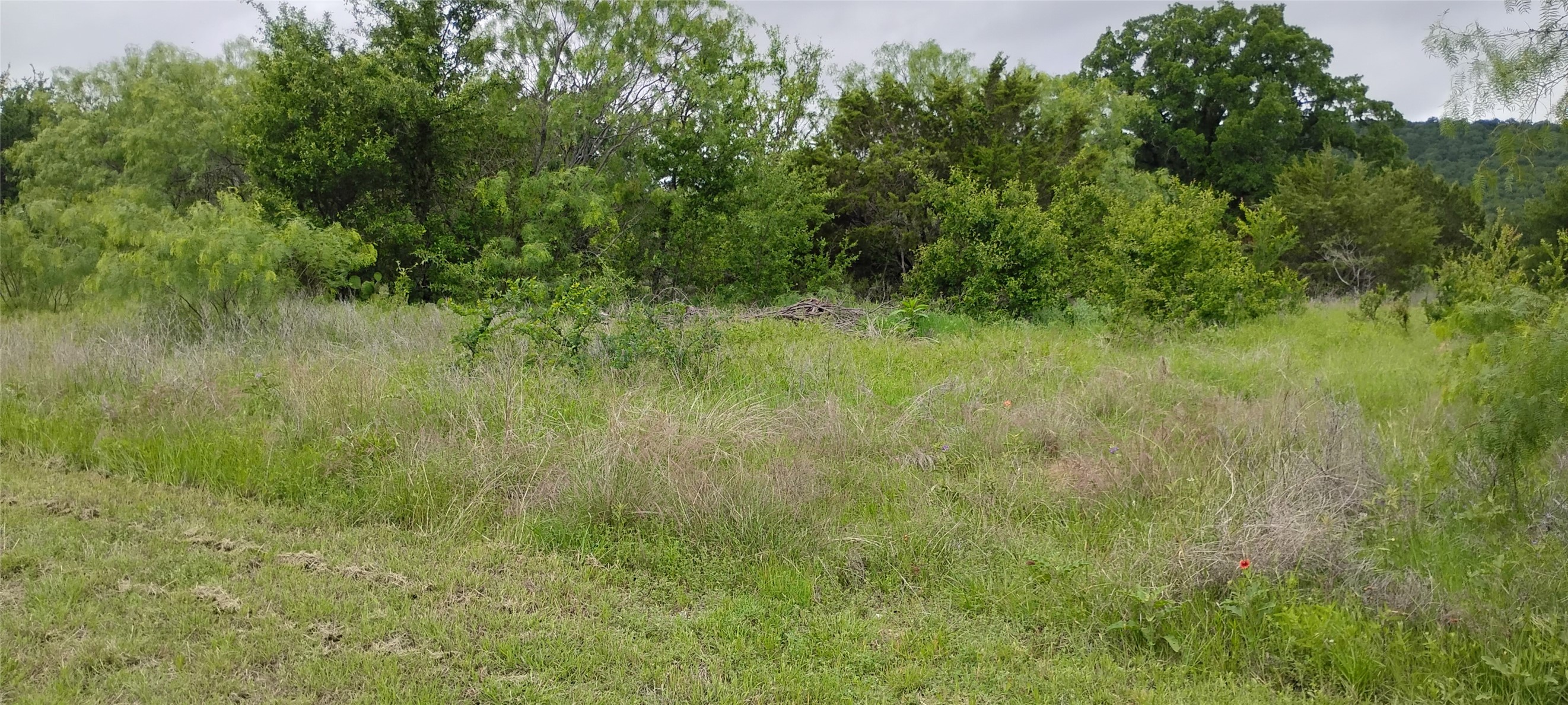 Lots 3 & 4 Dunn Drive Palo Pinto TX 76484