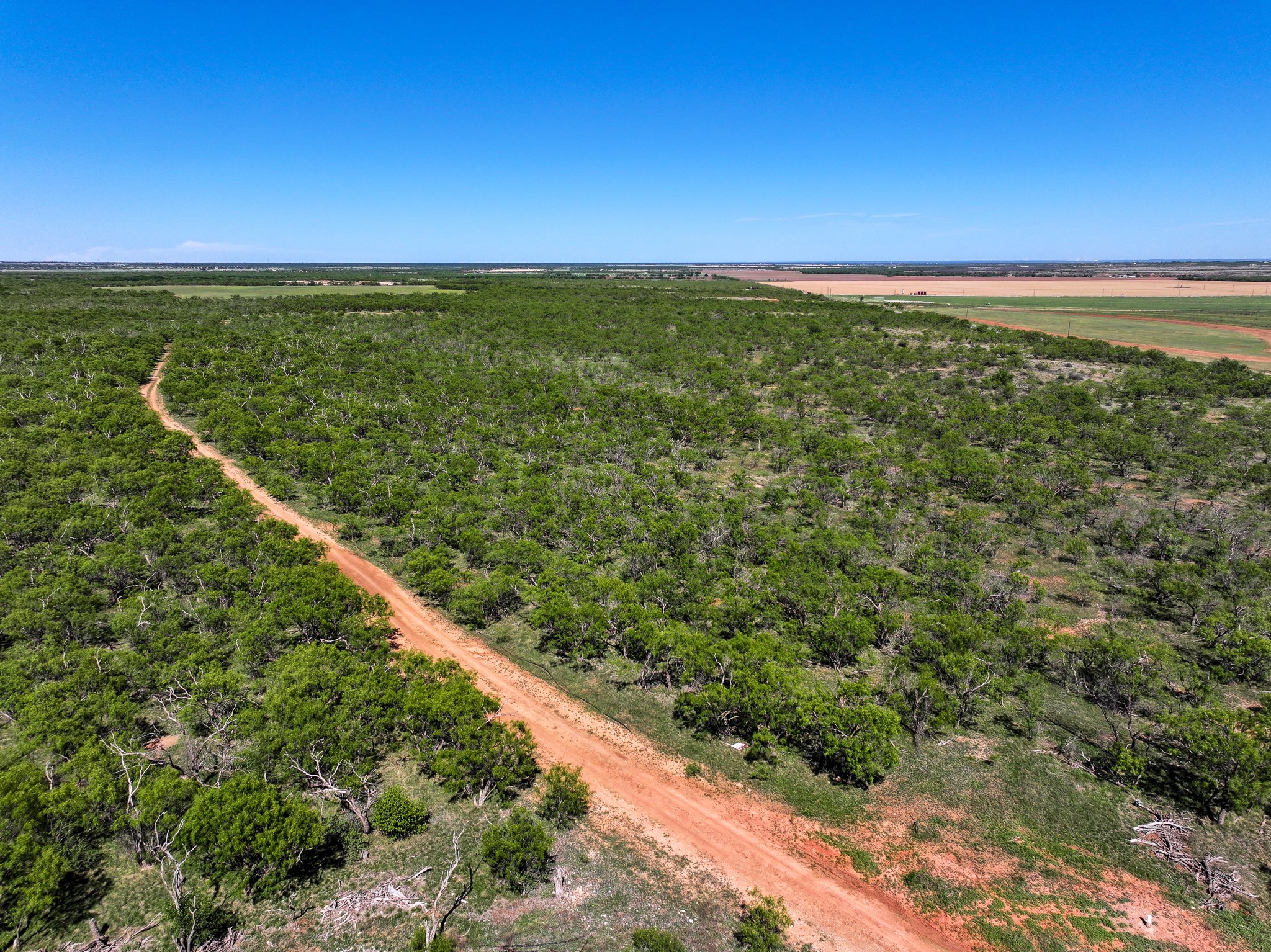 Tbd Tract 10 Fm 1812 Hawley TX 79525