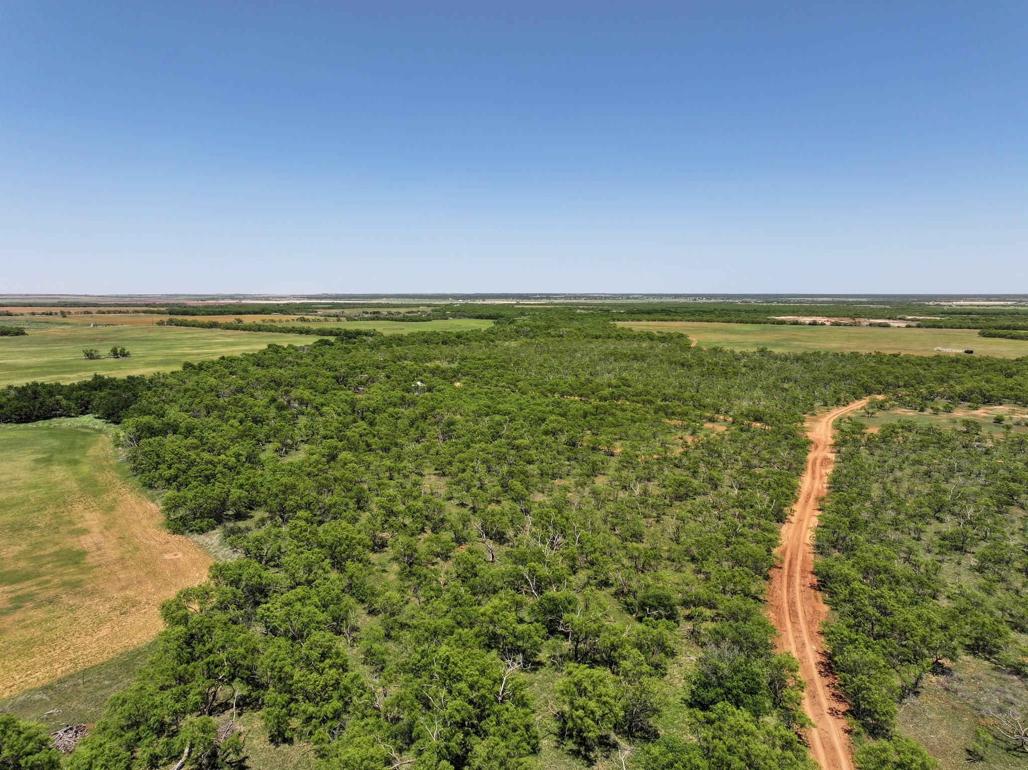 Tbd Tract 10 Fm 1812 Hawley TX 79525