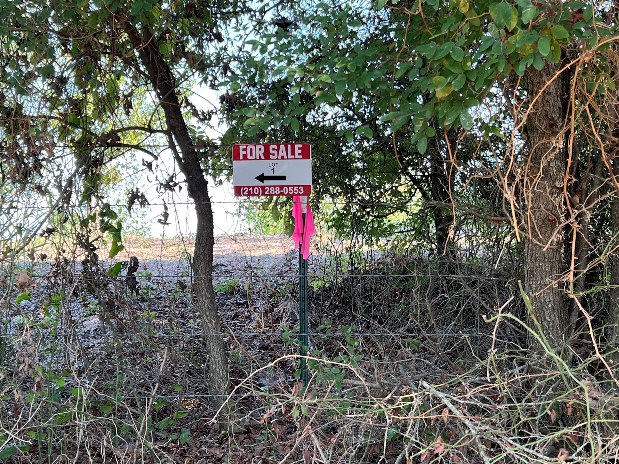 Tbd NE County Road 1010 Lot #1 Rice TX 75155
