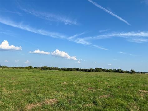Tbd NE County Road 1010 Lot #1 Rice TX 75155
