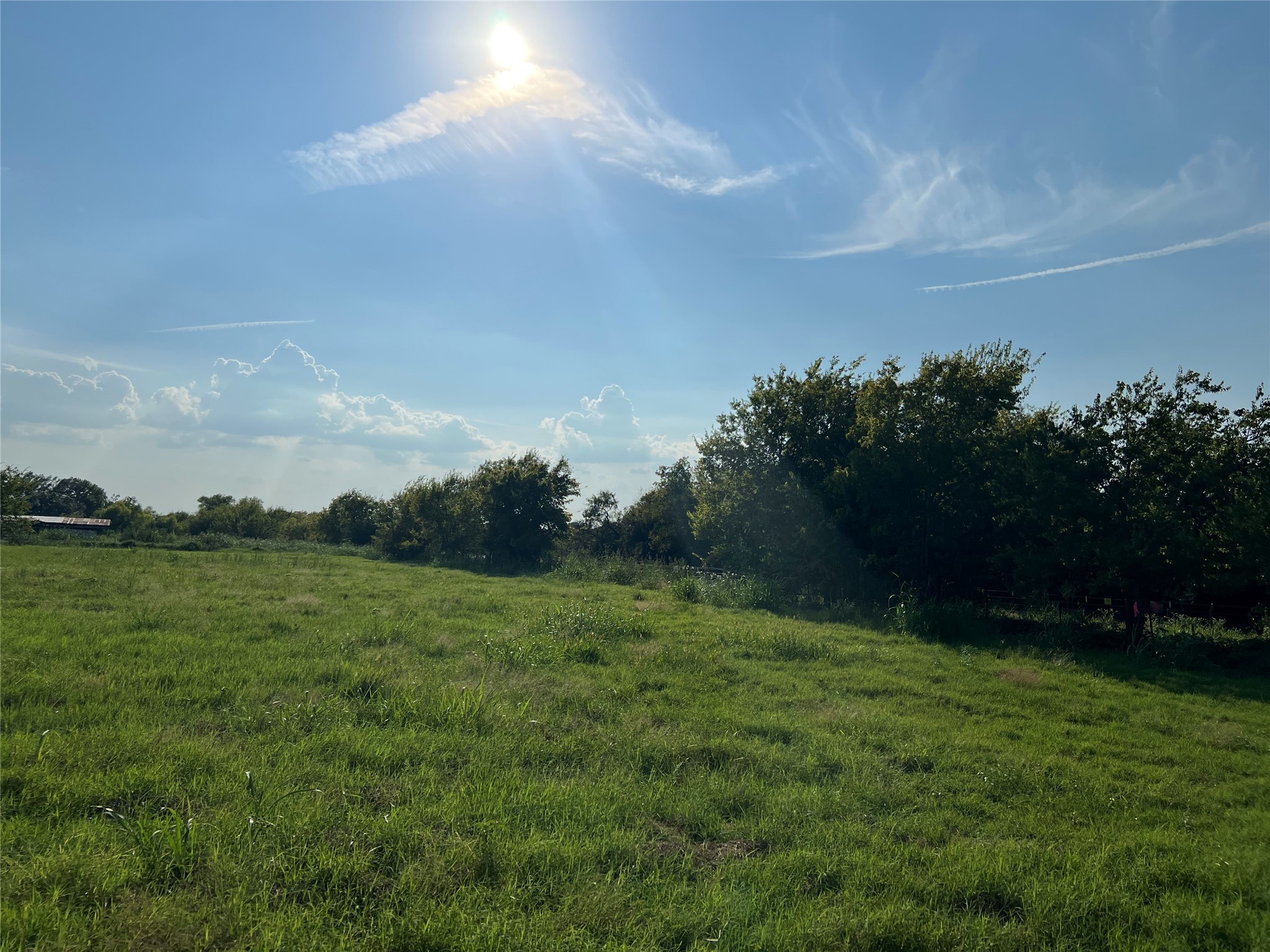 Tbd NE County Road 1010 Lot #1 Rice TX 75155