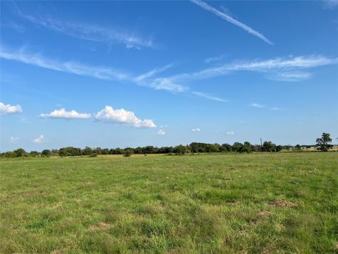 Tbd NE County Road 1010 Lot #1 Rice TX 75155