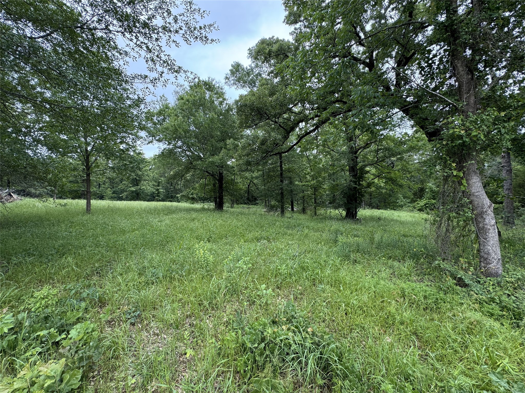 Tbd Rs County Road 3360 Emory TX 75440