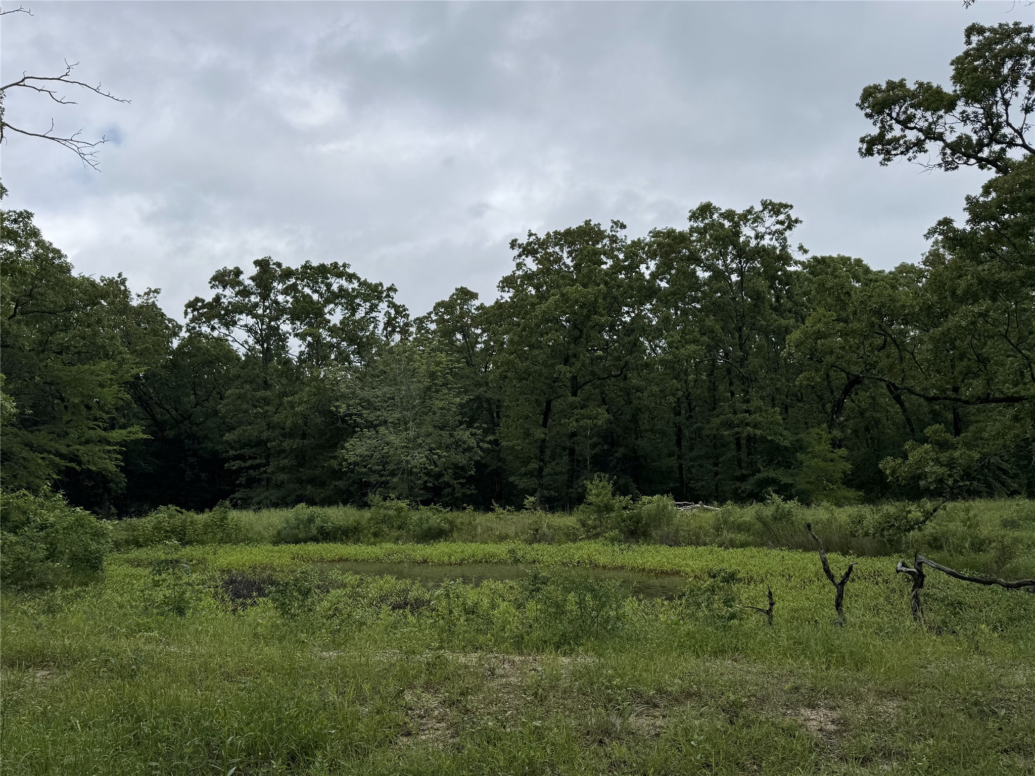 Tbd Rs County Road 3360 Emory TX 75440