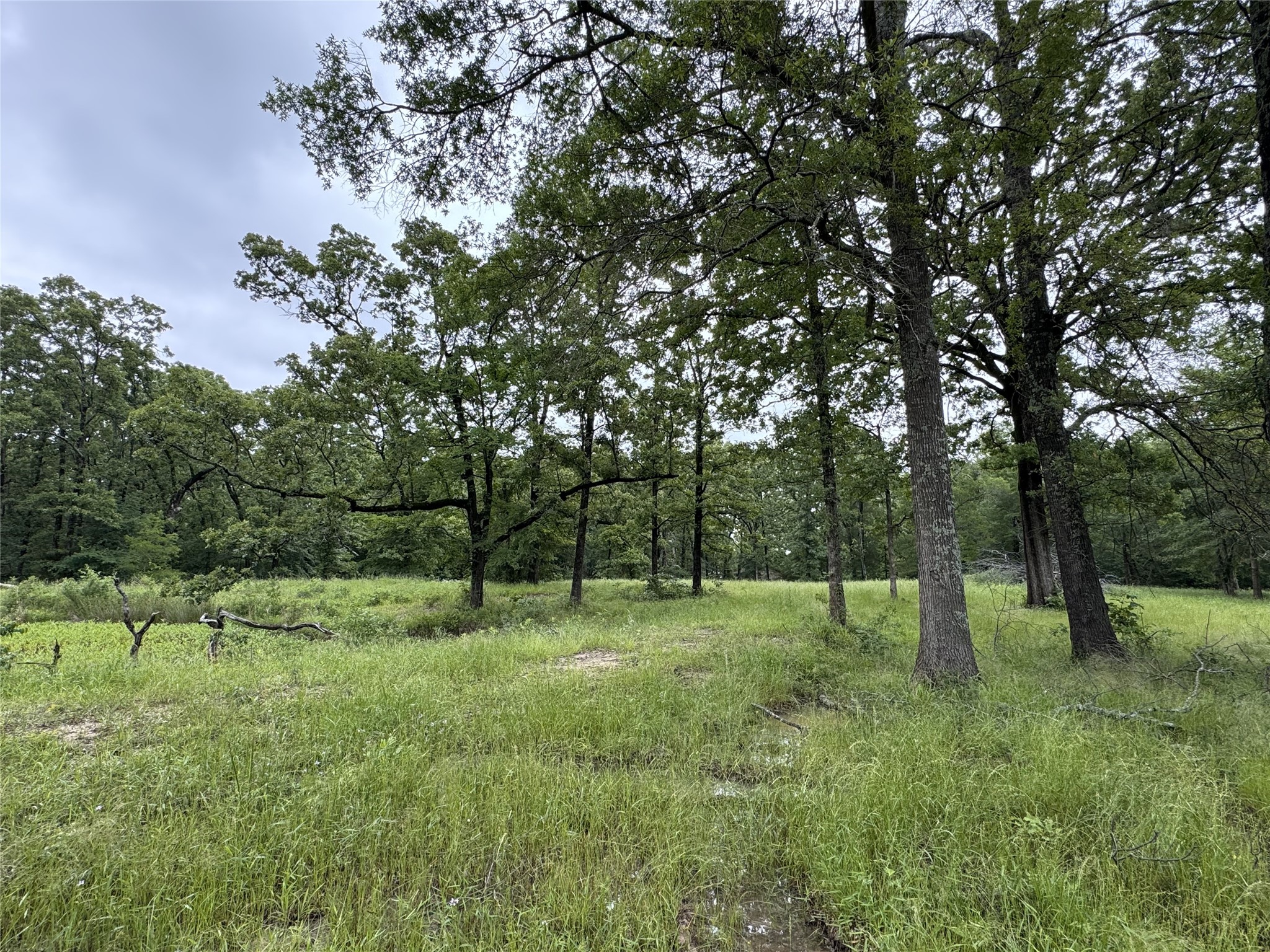 Tbd Rs County Road 3360 Emory TX 75440