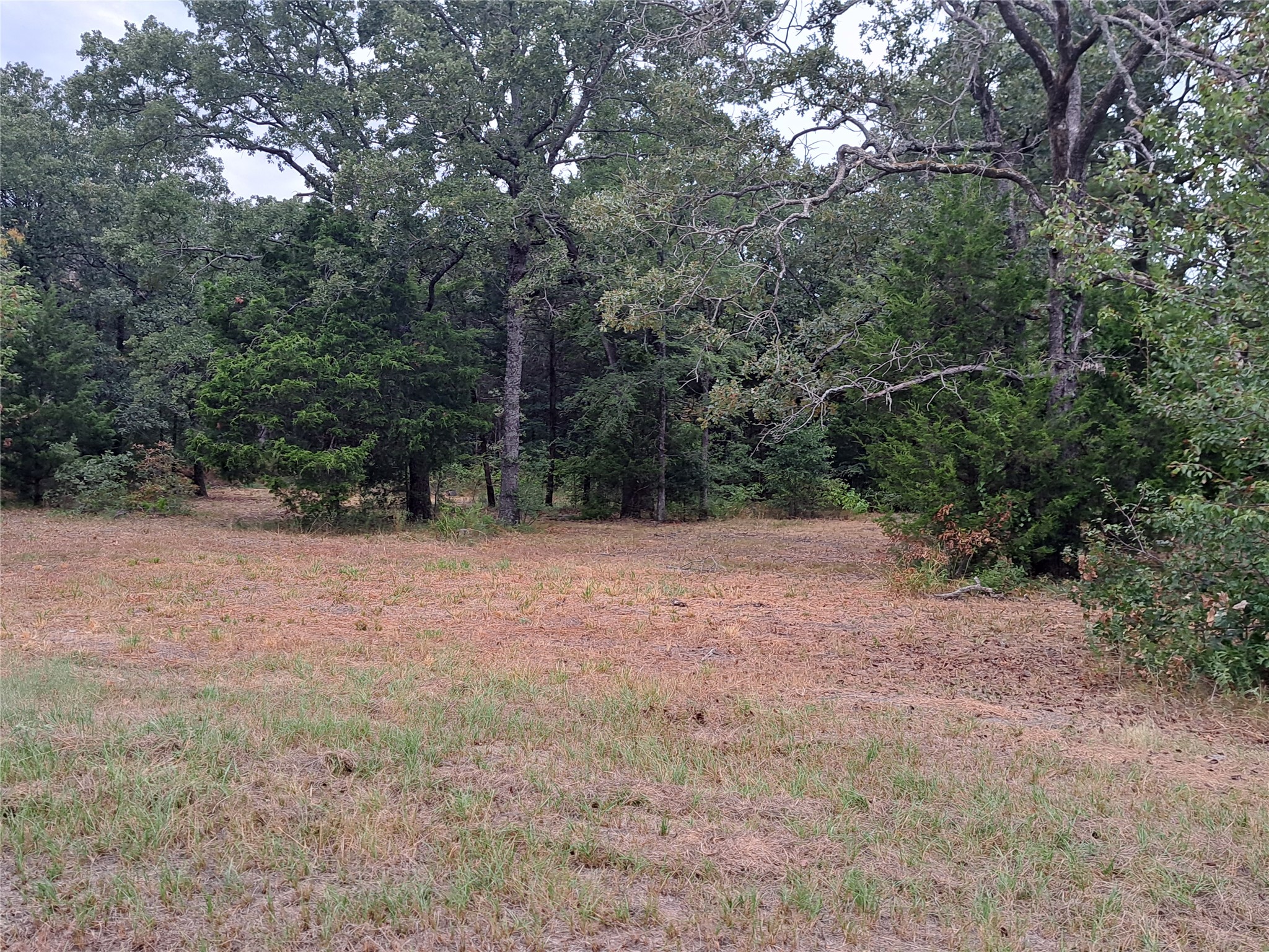 Tbd Rs County Road 3360 Emory TX 75440