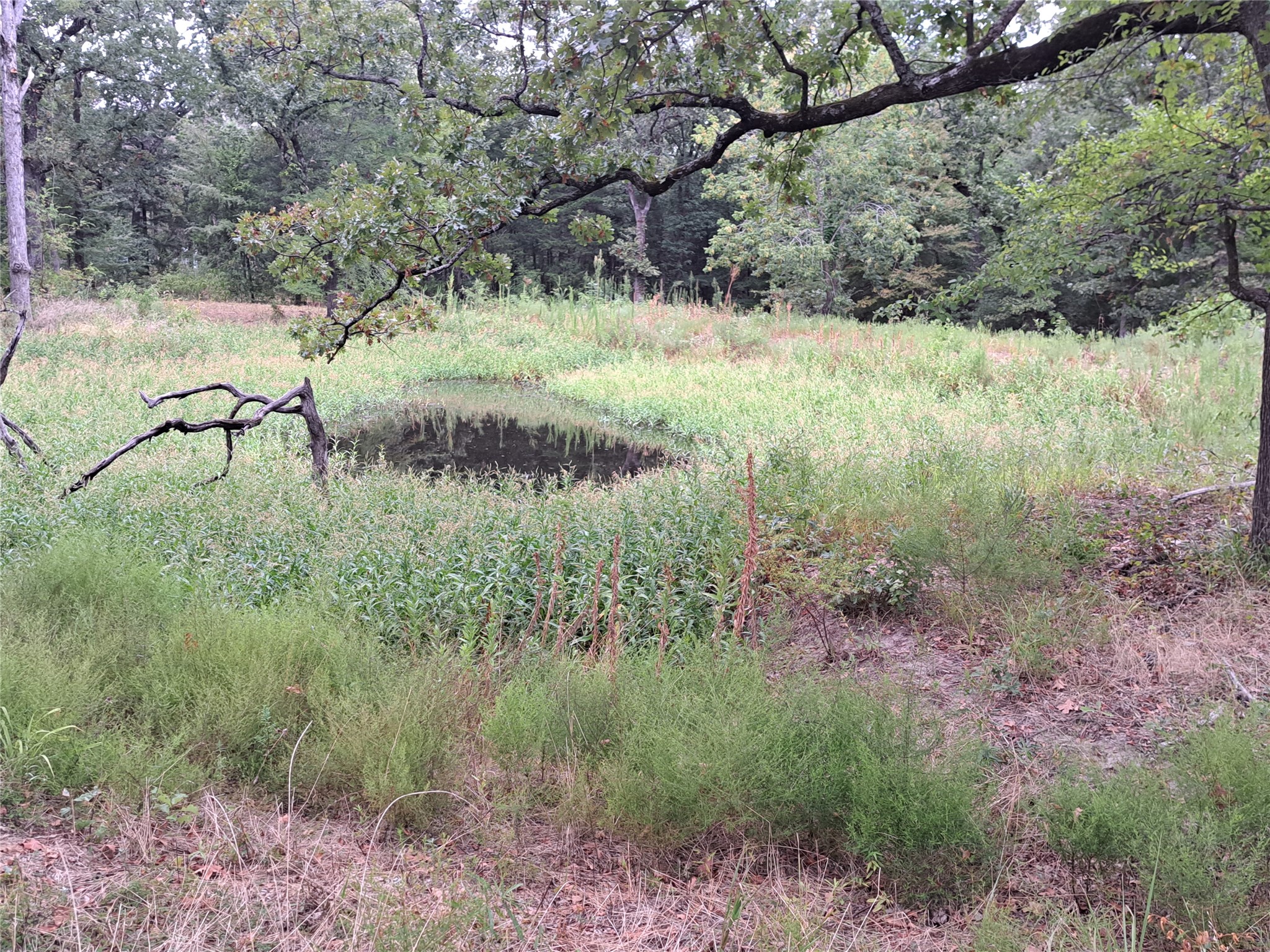 Tbd Rs County Road 3360 Emory TX 75440