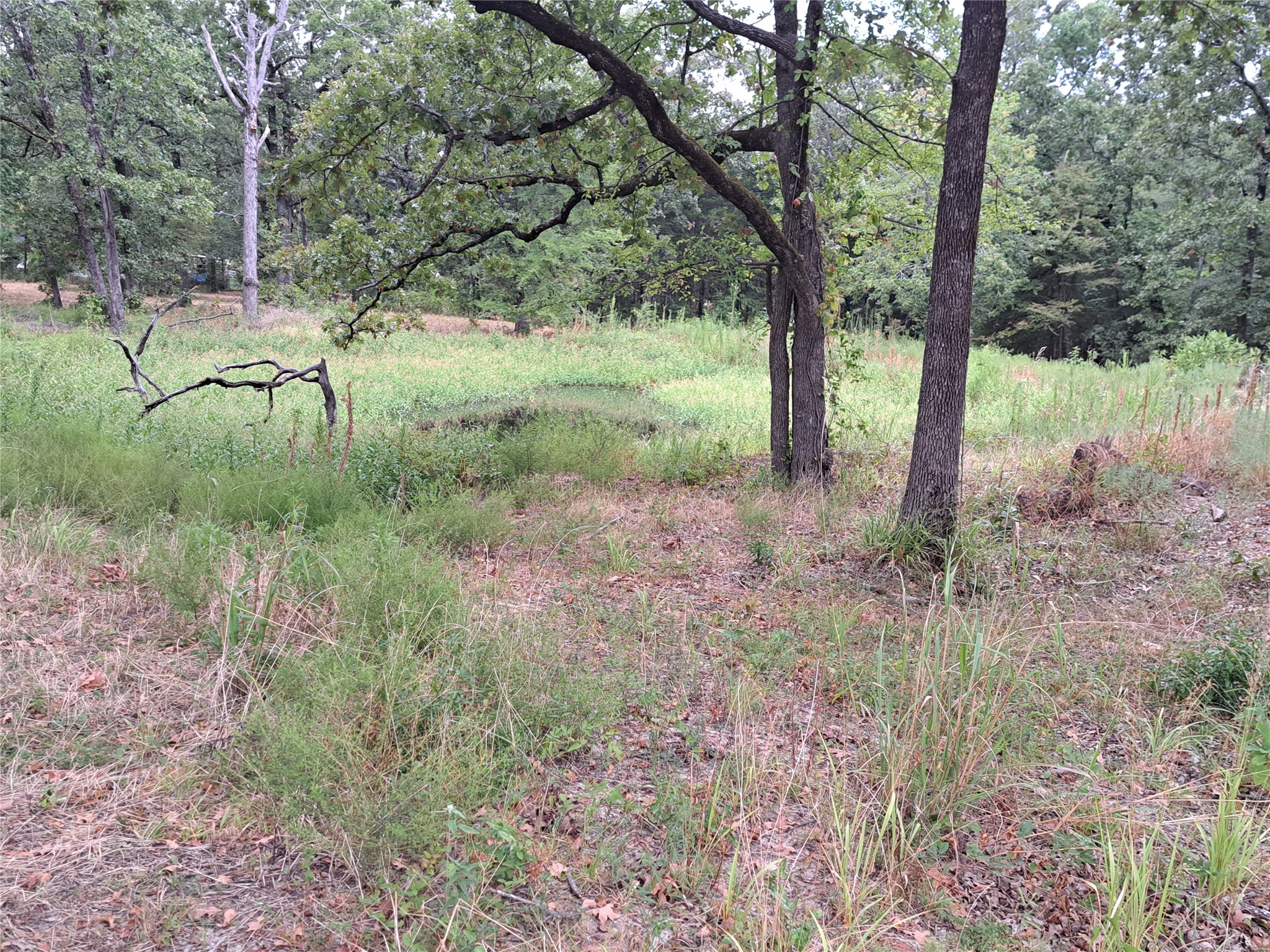 Tbd Rs County Road 3360 Emory TX 75440