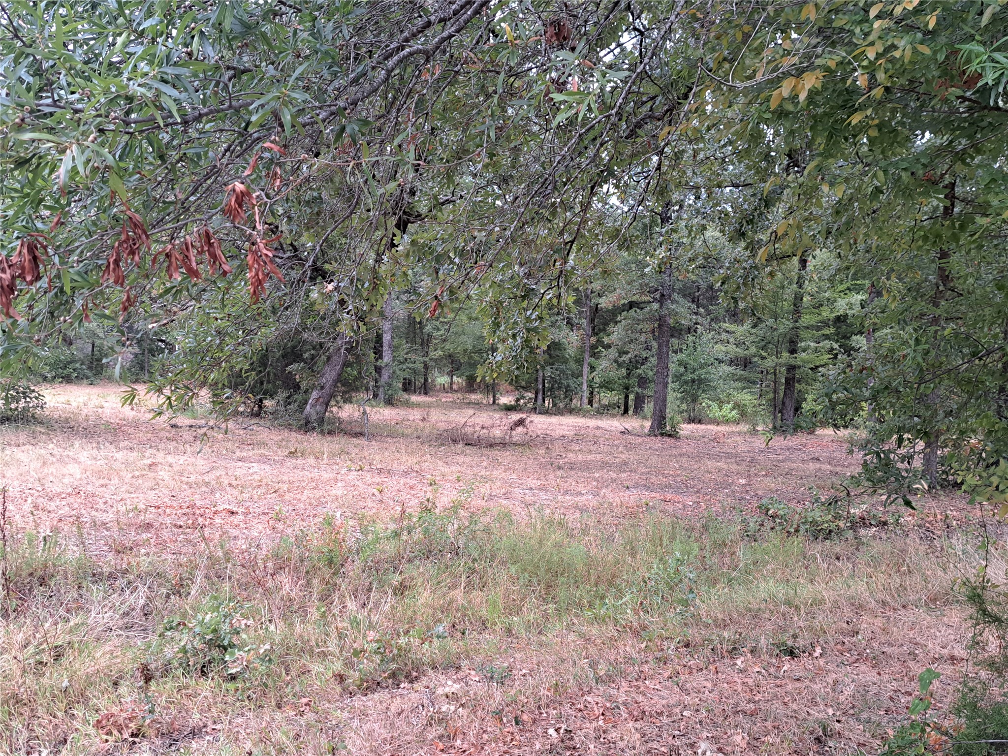 Tbd Rs County Road 3360 Emory TX 75440