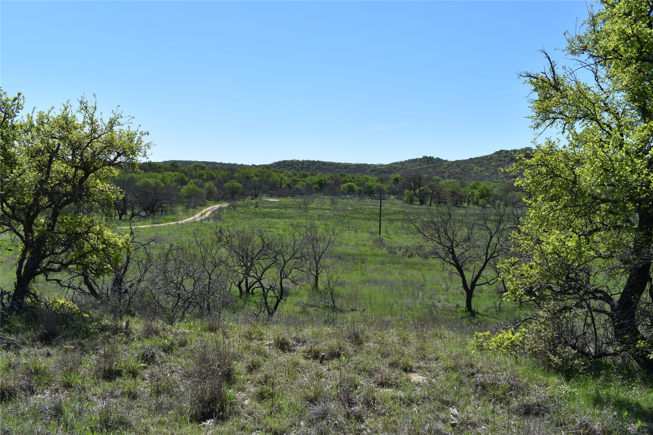 Tbd State Highway 148 Jacksboro TX 76458