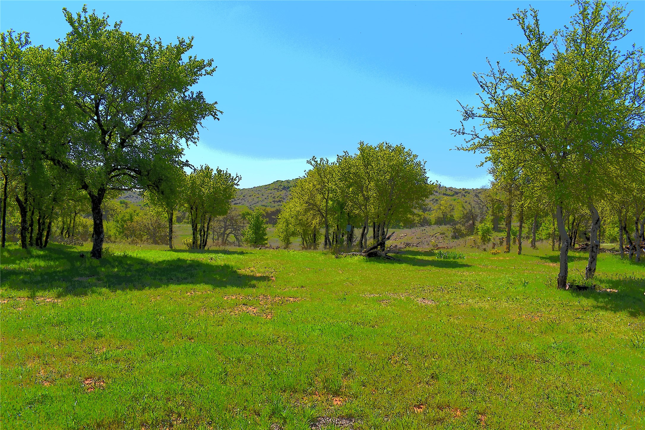 Tbd State Highway 148 Jacksboro TX 76458