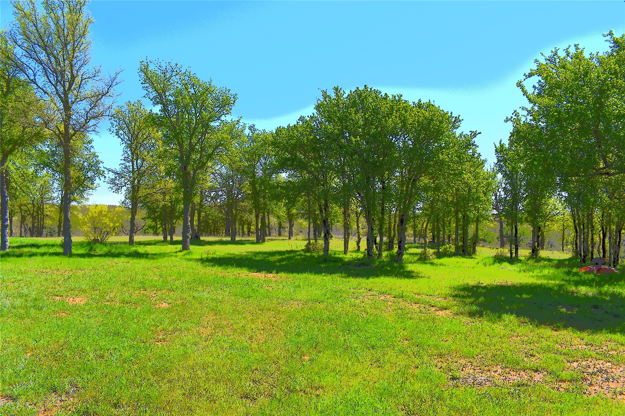 Tbd State Highway 148 Jacksboro TX 76458
