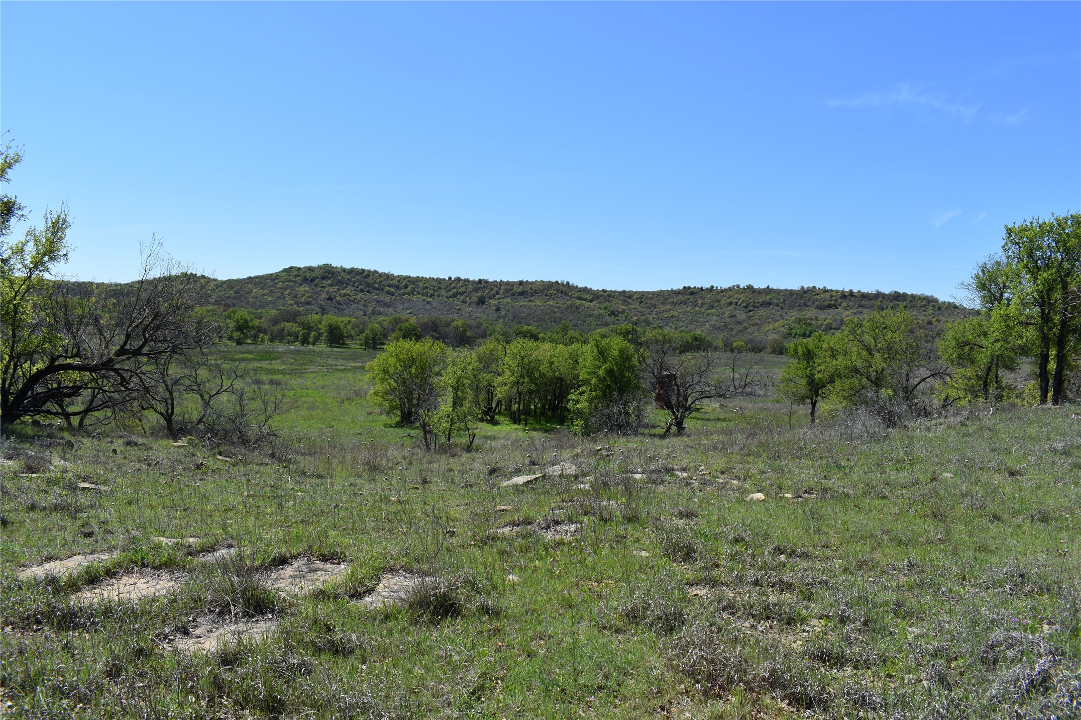 Tbd State Highway 148 Jacksboro TX 76458
