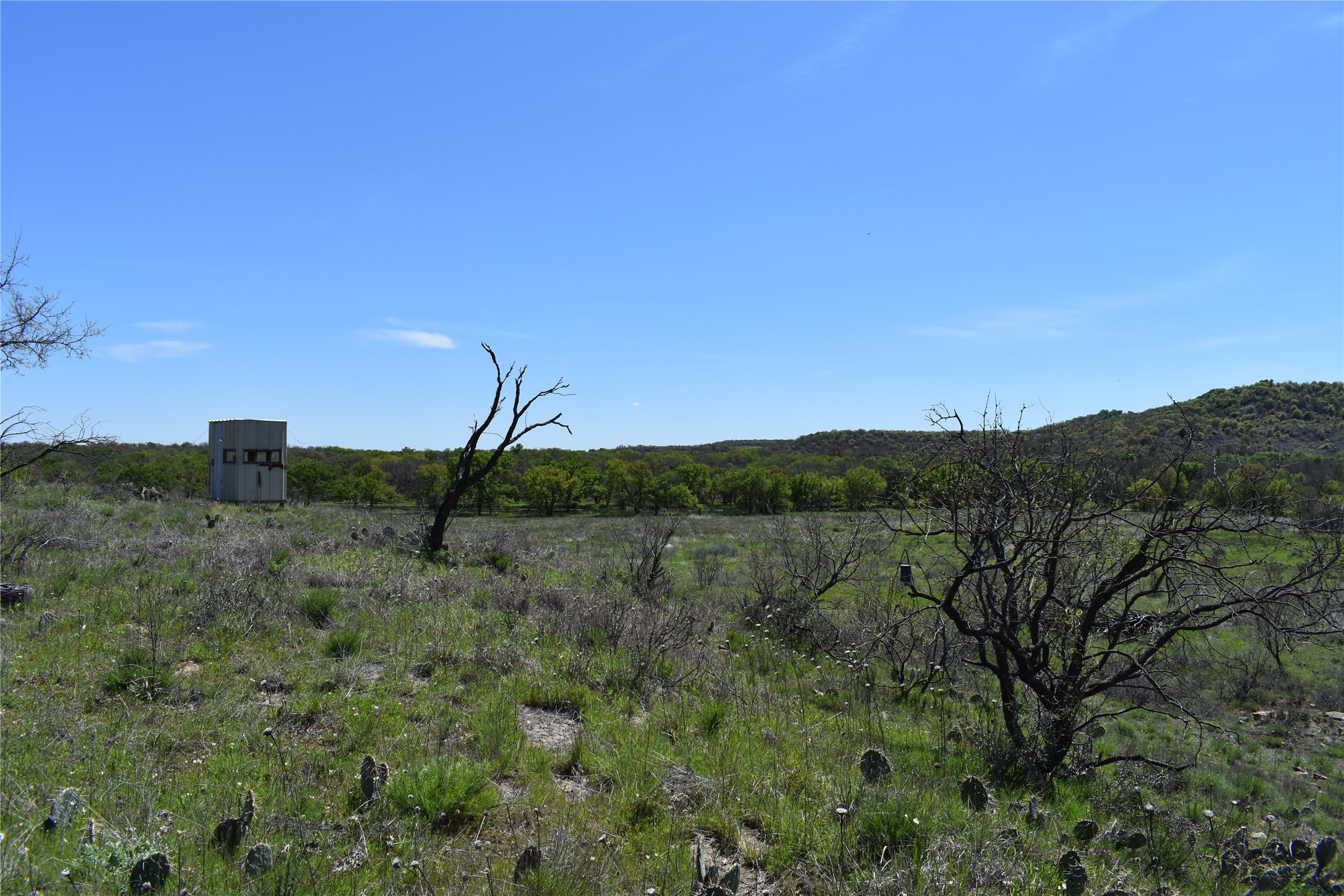 Tbd State Highway 148 Jacksboro TX 76458