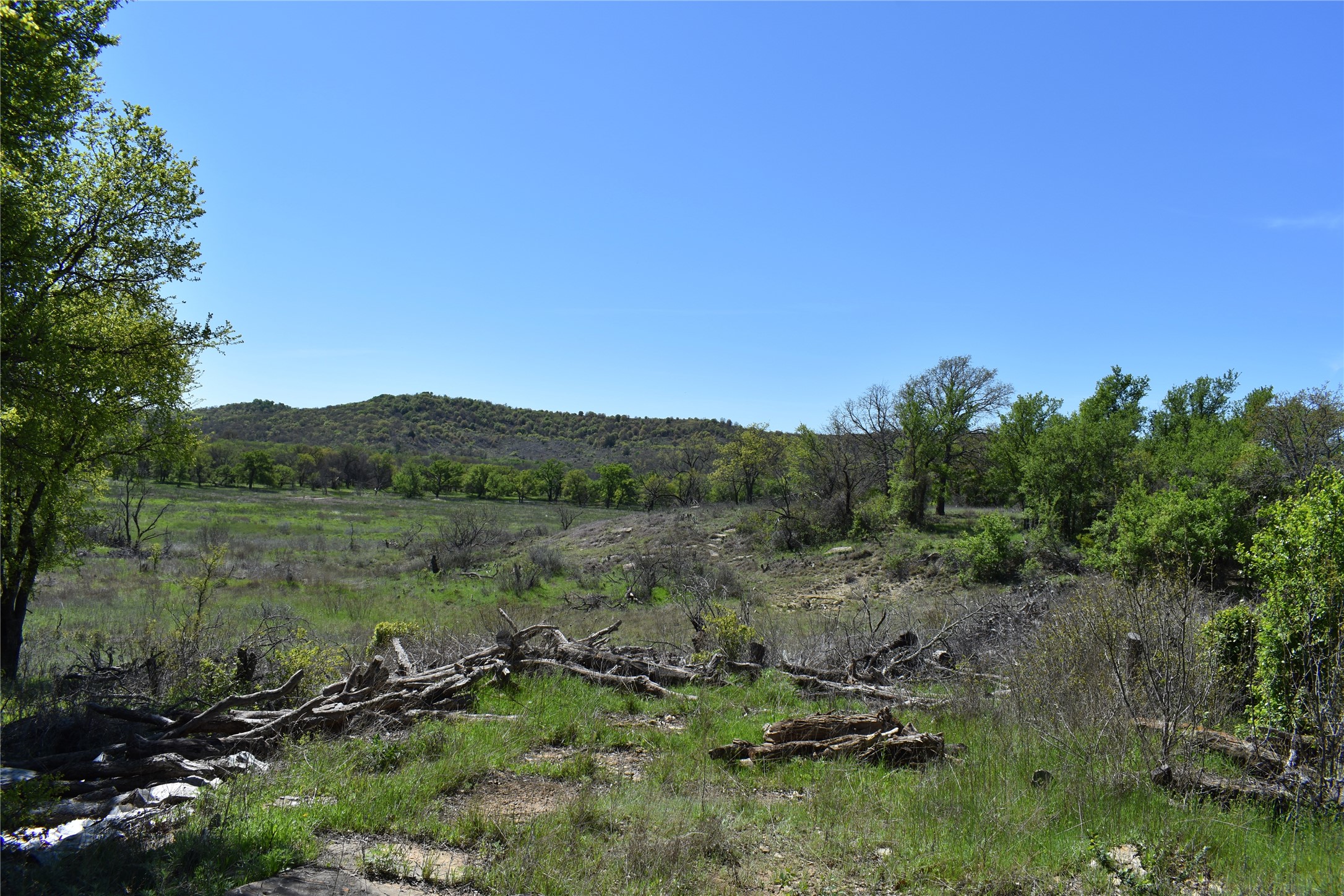 Tbd State Highway 148 Jacksboro TX 76458