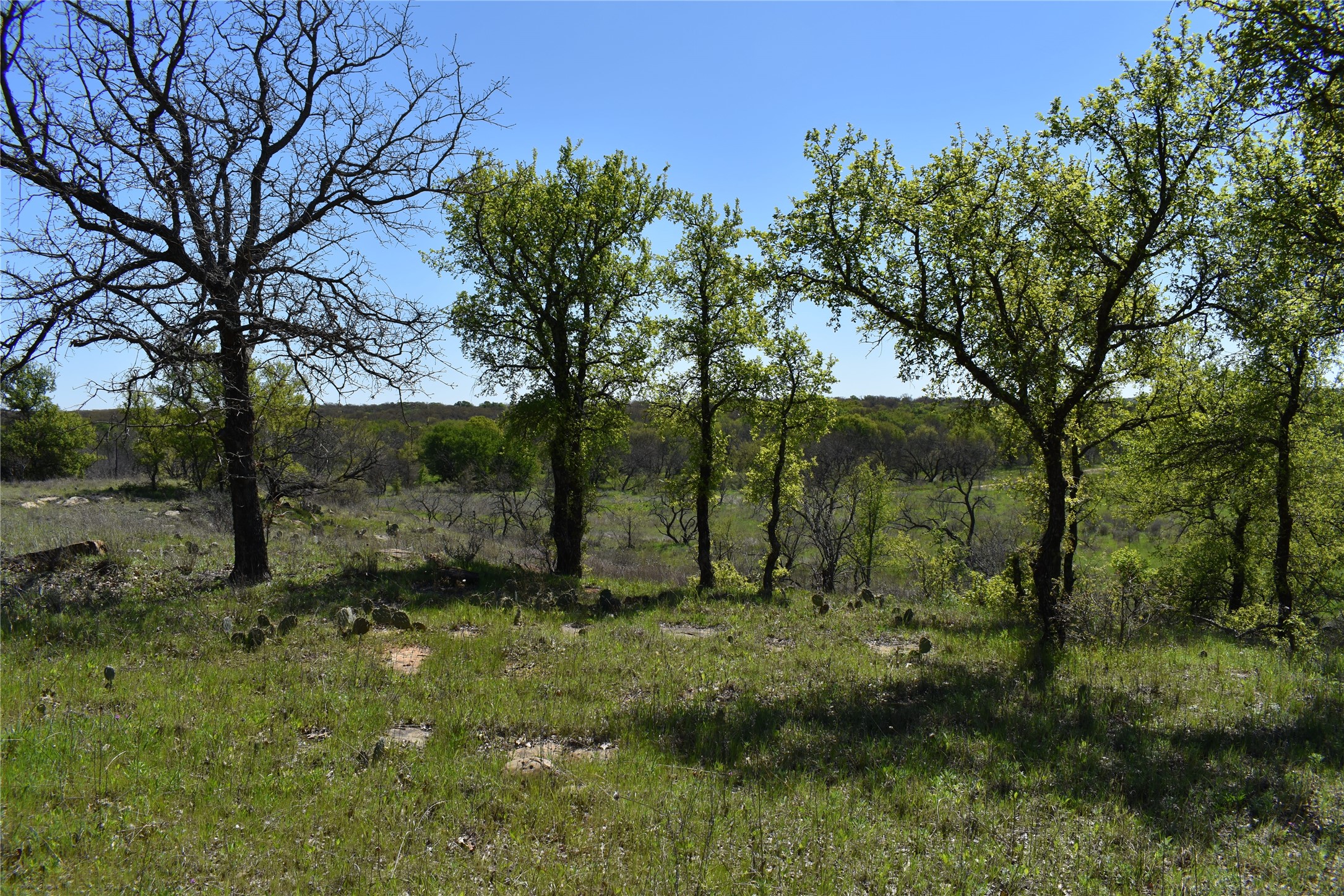 Tbd State Highway 148 Jacksboro TX 76458