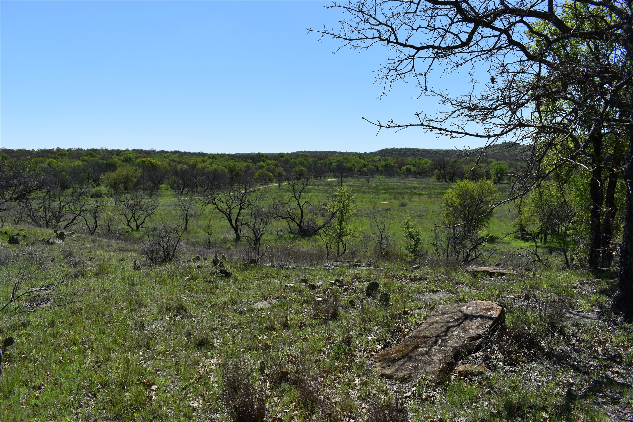 Tbd State Highway 148 Jacksboro TX 76458