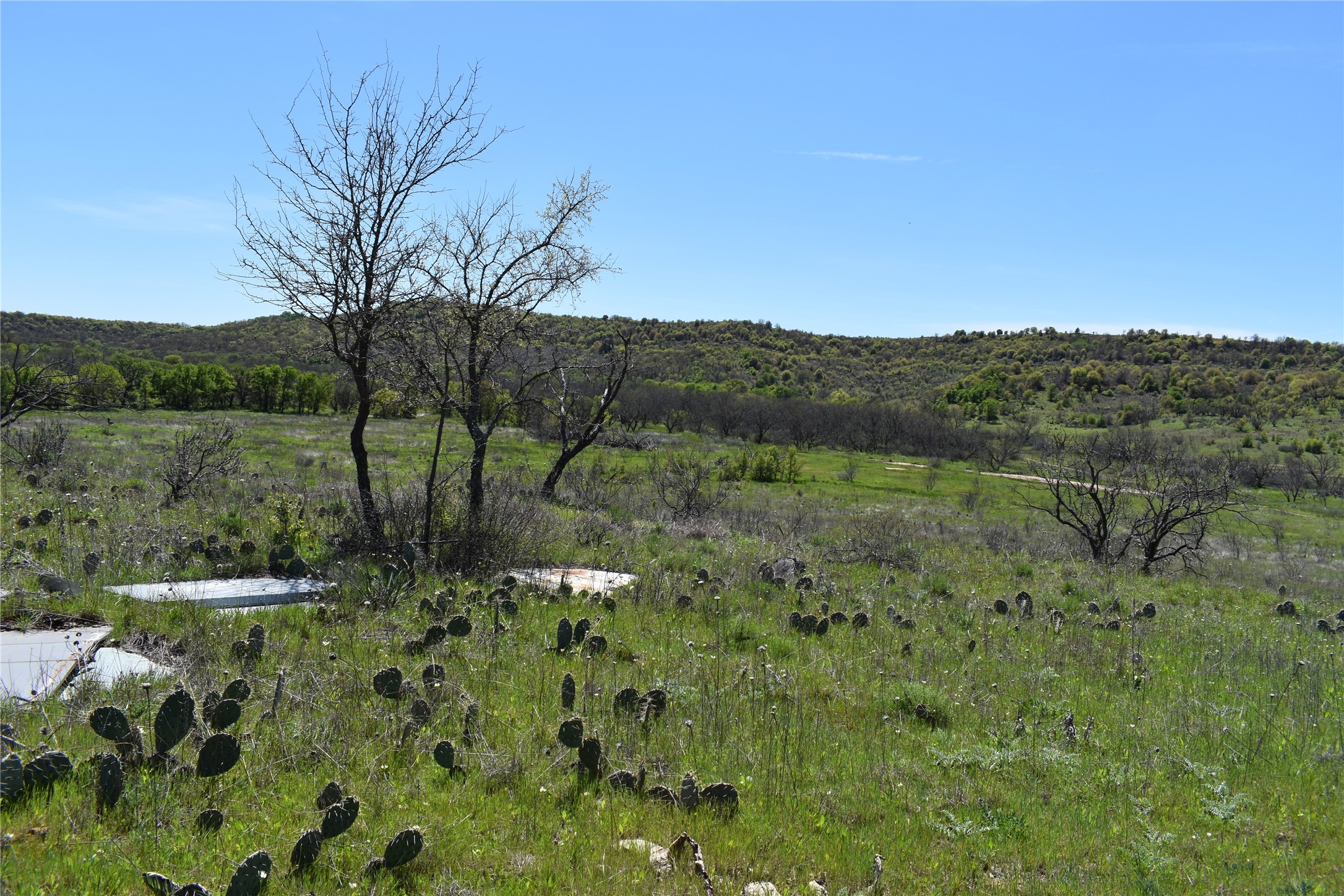 Tbd State Highway 148 Jacksboro TX 76458
