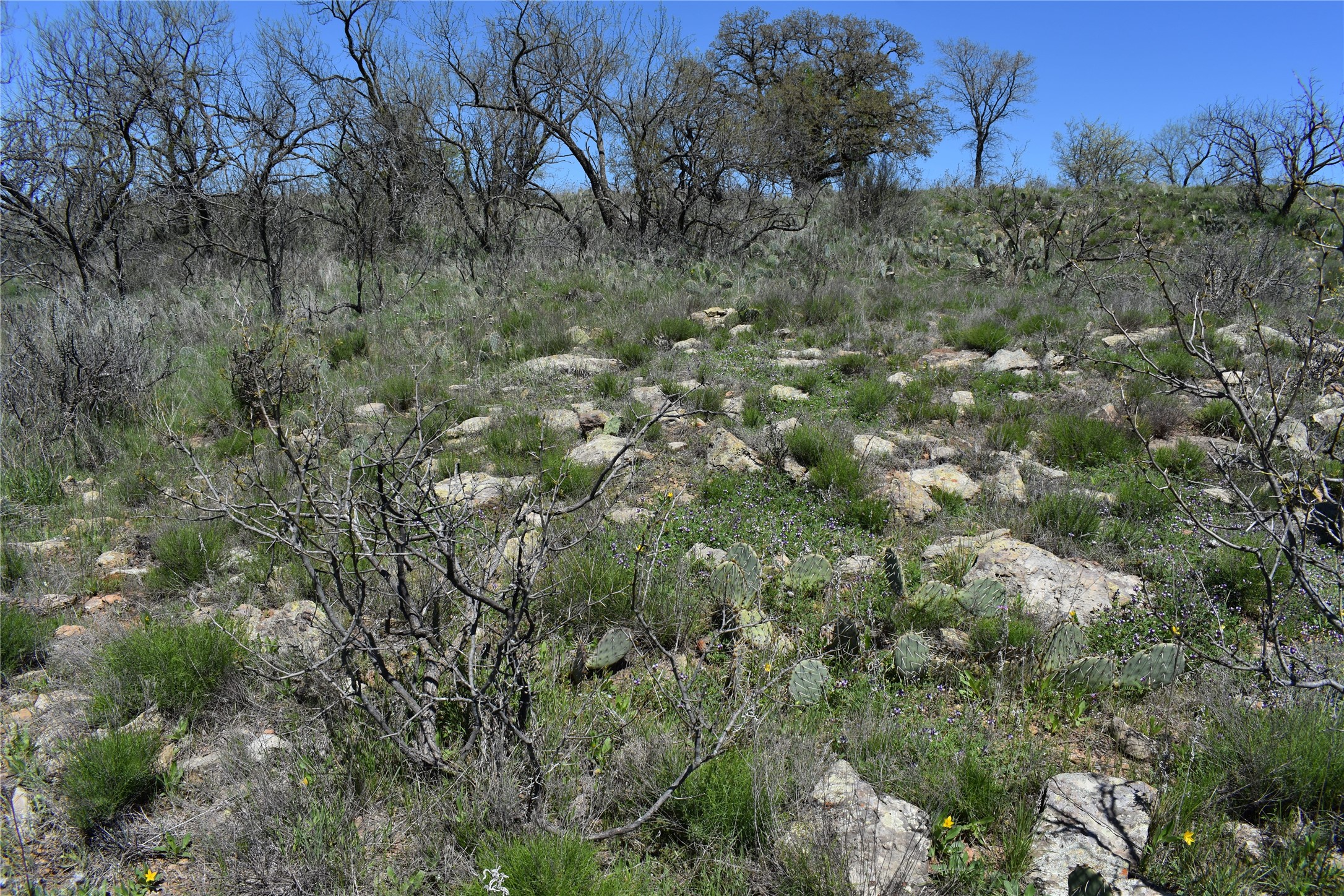 Tbd State Highway 148 Jacksboro TX 76458
