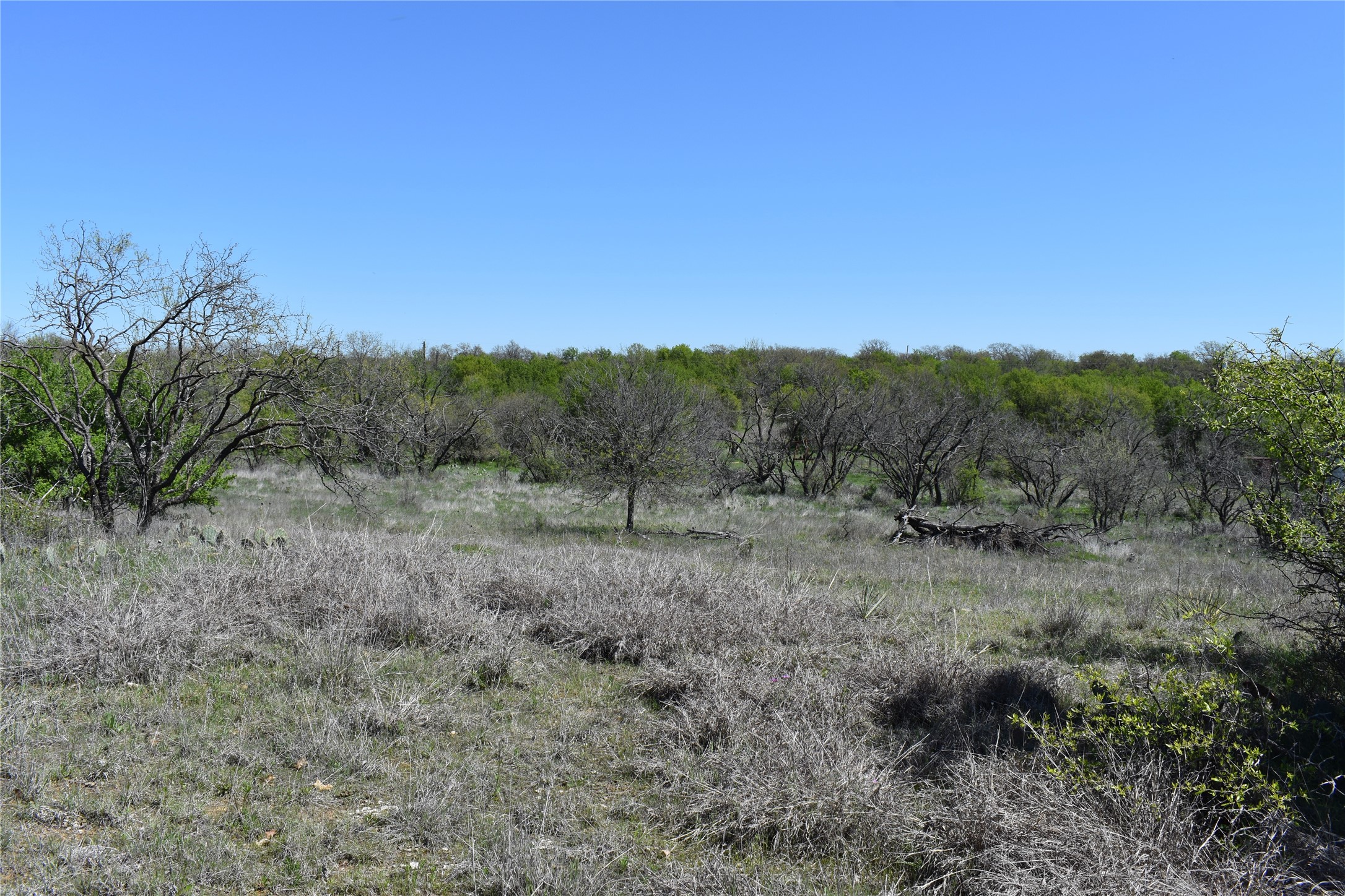 Tbd State Highway 148 Jacksboro TX 76458