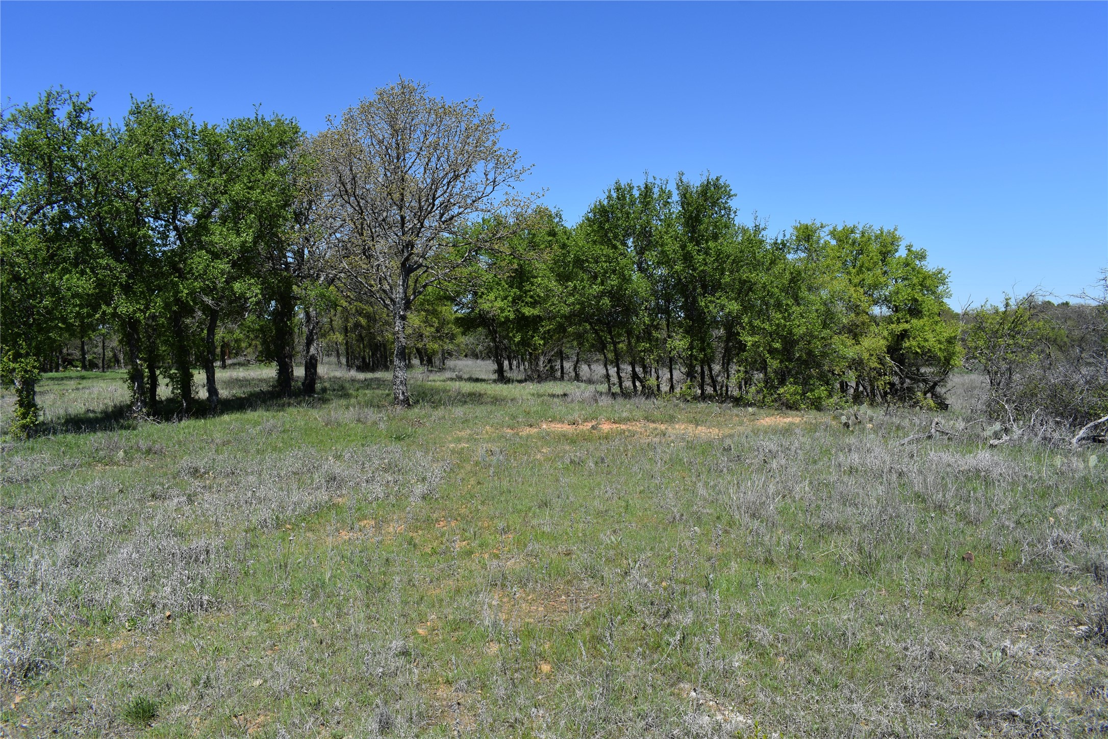 Tbd State Highway 148 Jacksboro TX 76458