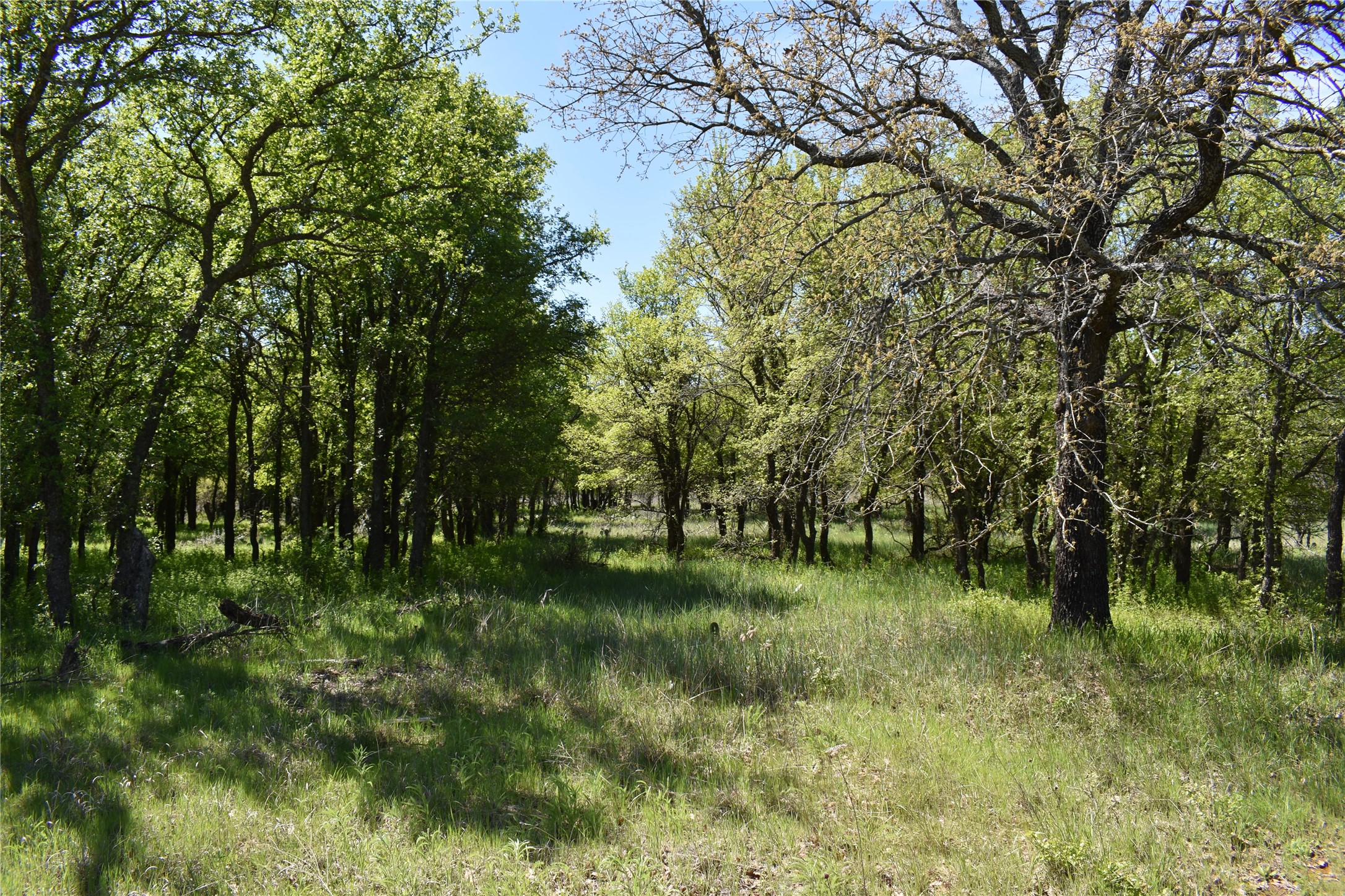 Tbd State Highway 148 Jacksboro TX 76458