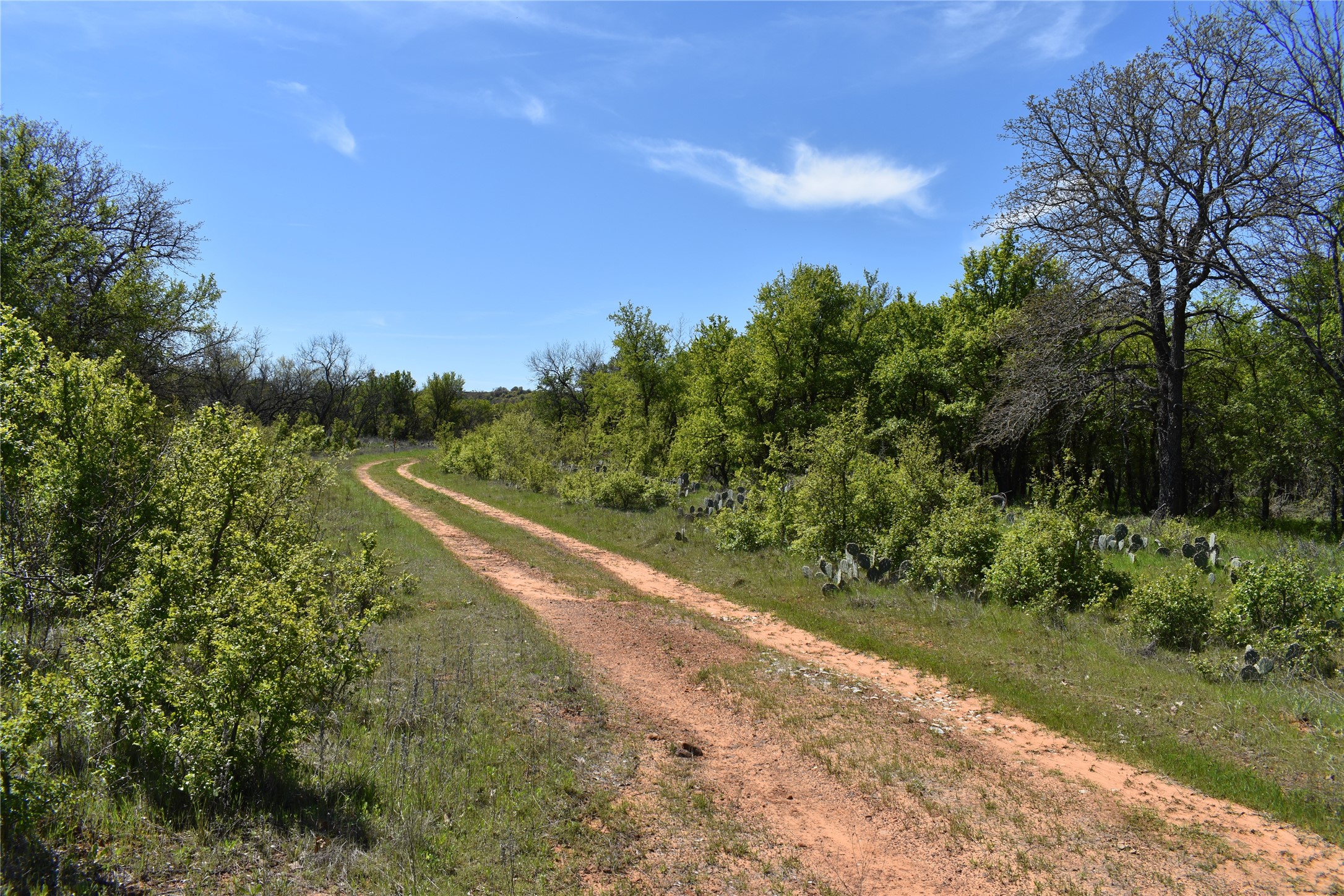 Tbd State Highway 148 Jacksboro TX 76458