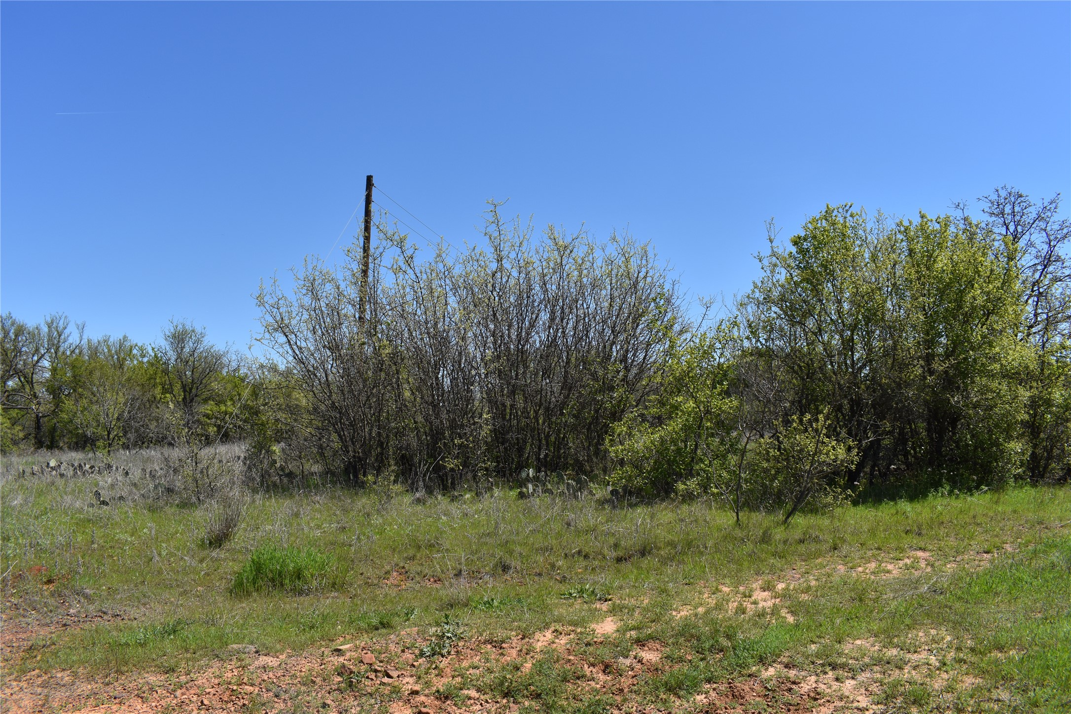 Tbd State Highway 148 Jacksboro TX 76458