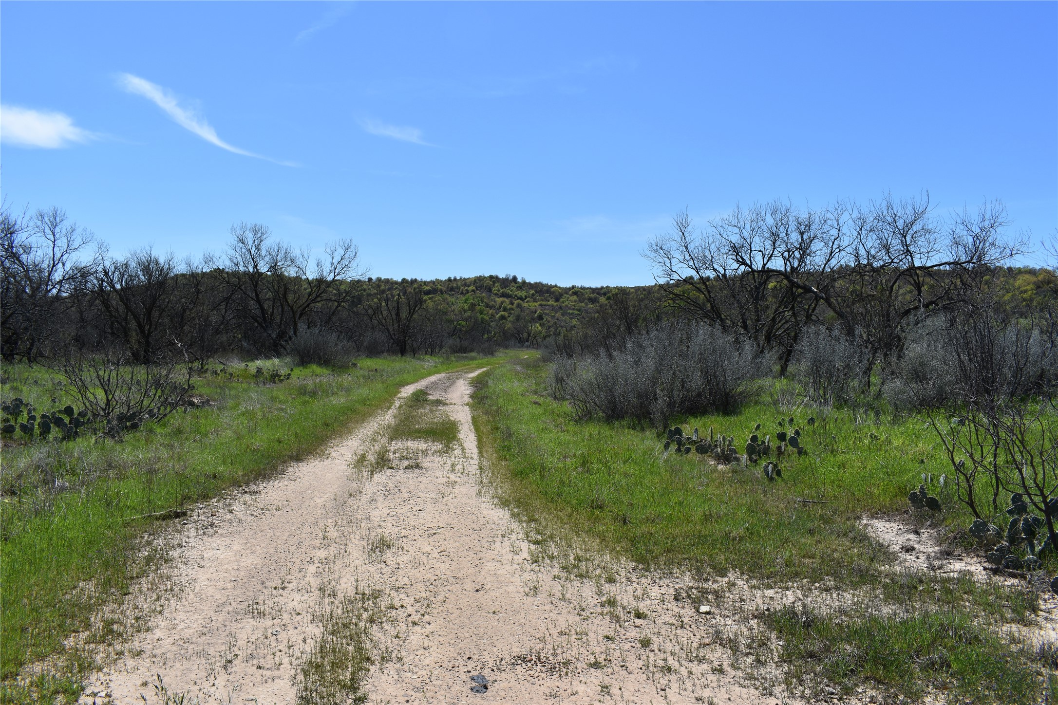 Tbd State Highway 148 Jacksboro TX 76458