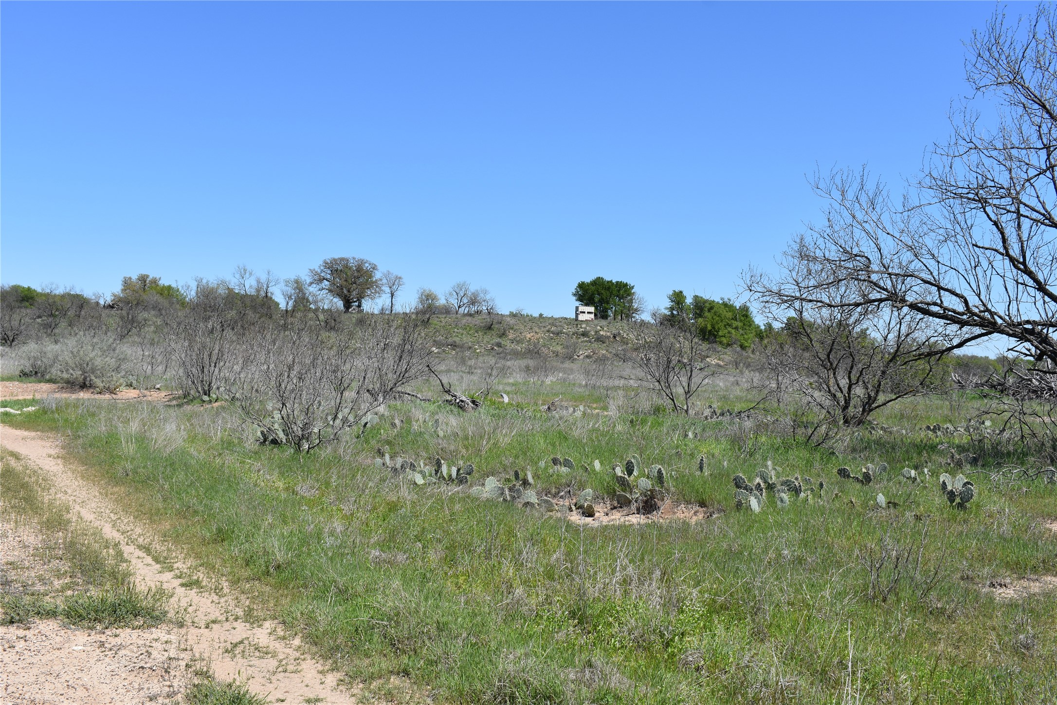 Tbd State Highway 148 Jacksboro TX 76458