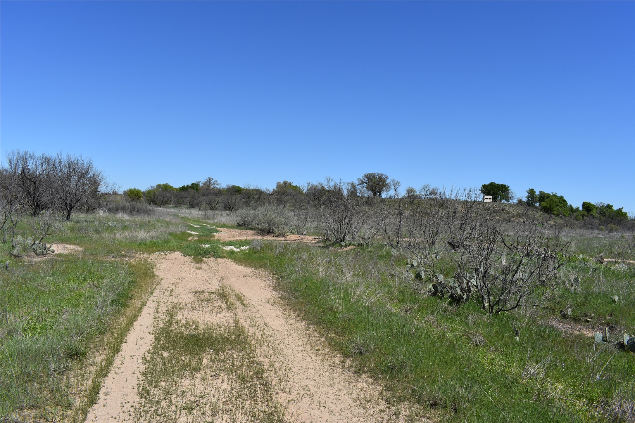 Tbd State Highway 148 Jacksboro TX 76458