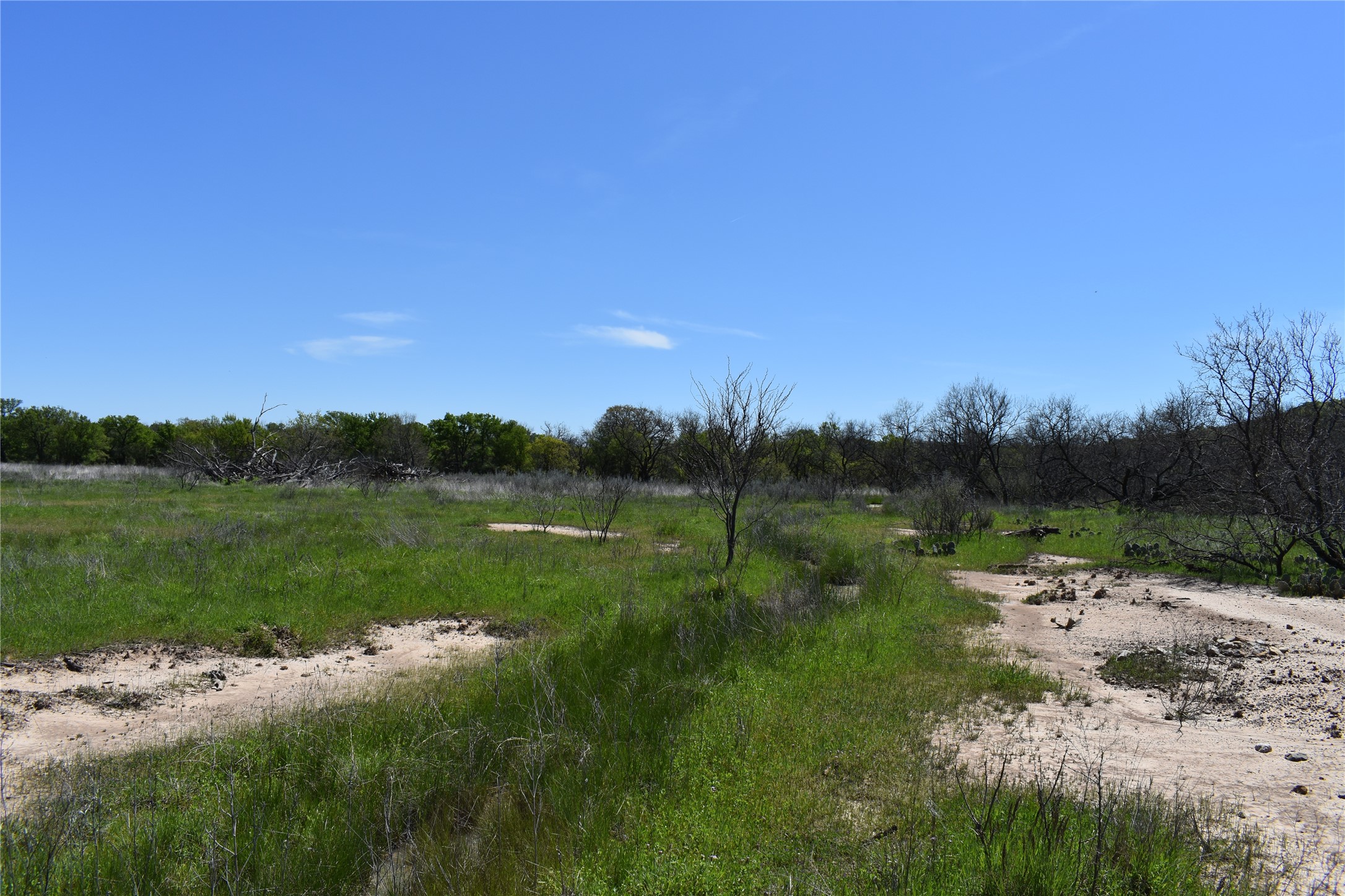 Tbd State Highway 148 Jacksboro TX 76458