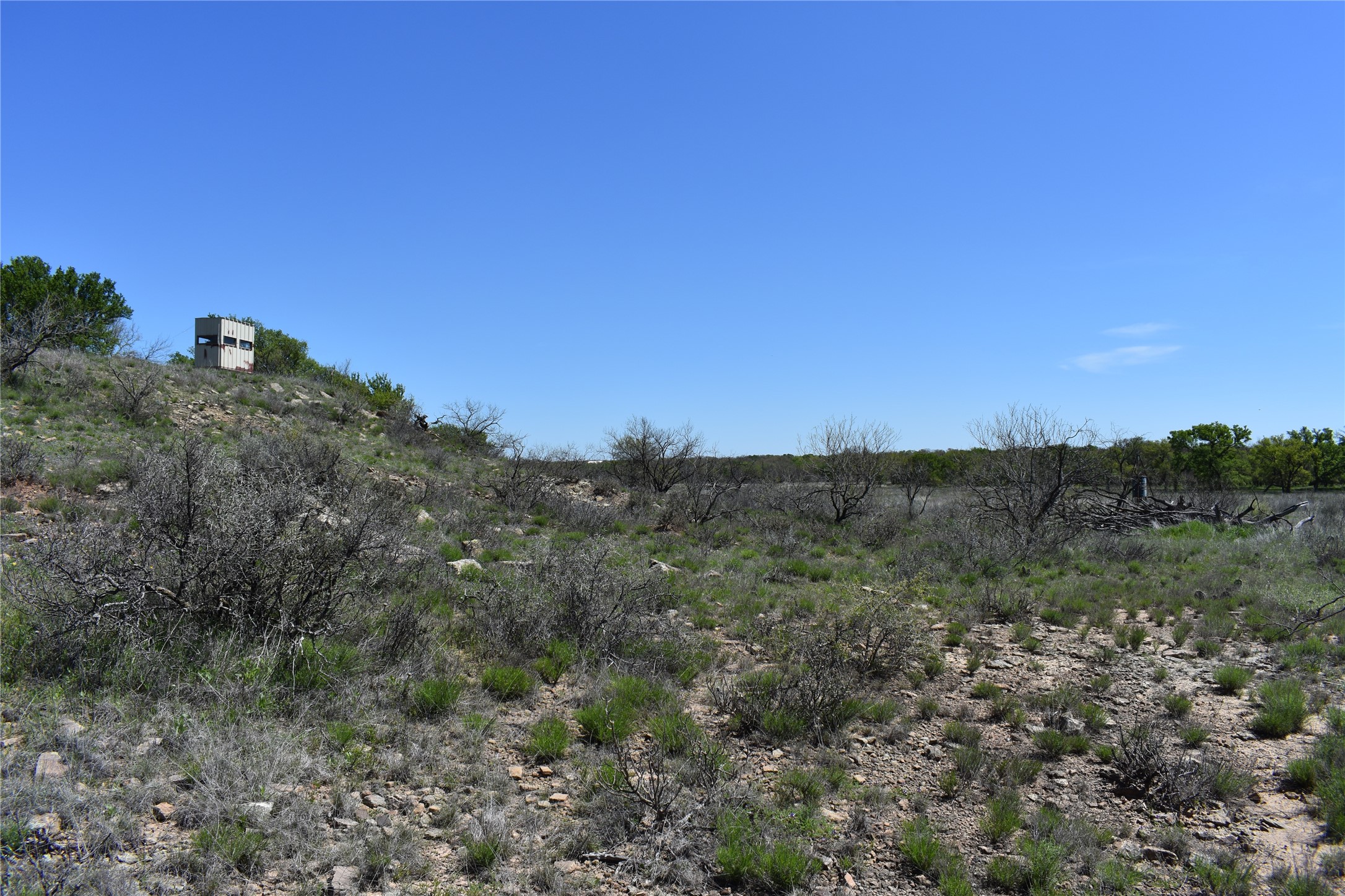 Tbd State Highway 148 Jacksboro TX 76458